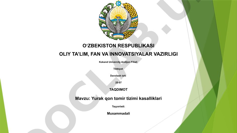 Yurak qon tomir tizimi kasalliklari