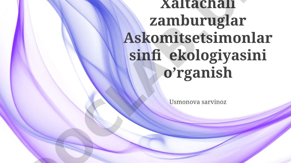Xaltachali zamburuglar Askomitsetsimonlar sinfi ekologiyasini o’rganish