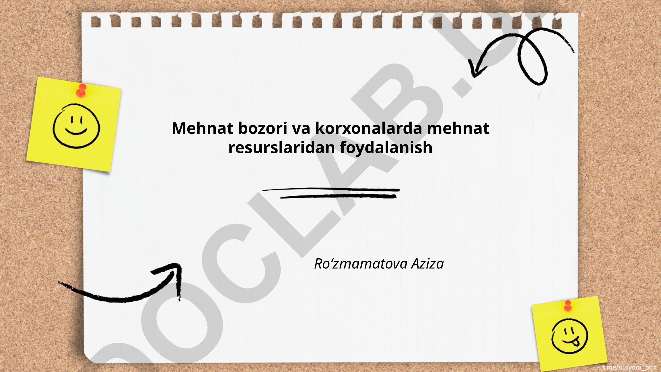 Mehnat bozori va korxonalarda mehnat resurslaridan foydalanish