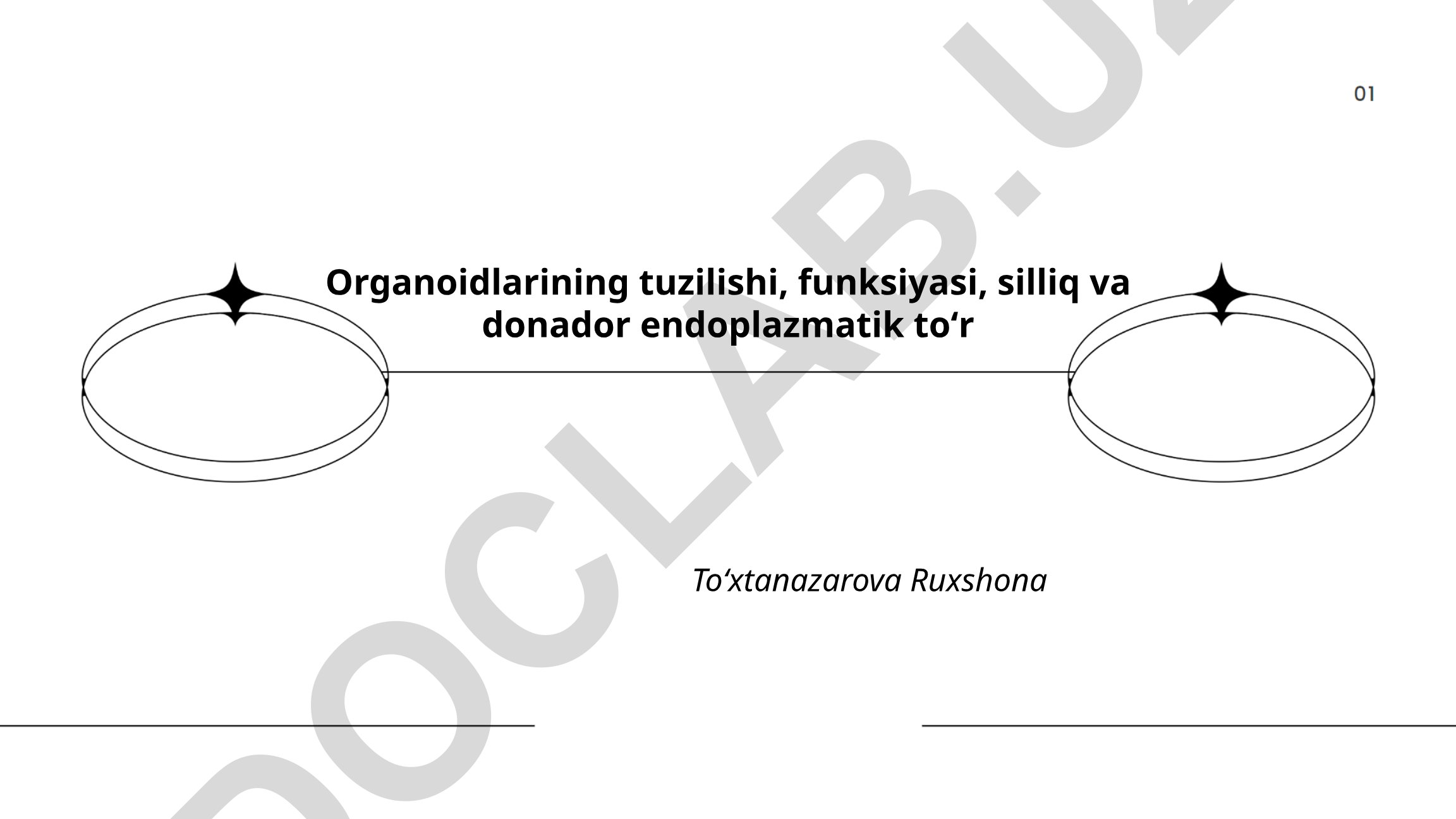 Organoidlarning tuzilishi, funksiyasi va endoplazmatik toʻr