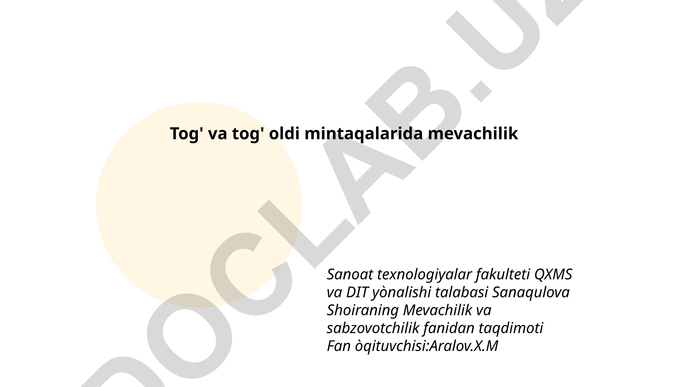 Tog' va tog' oldi mintaqalarida mevachilik