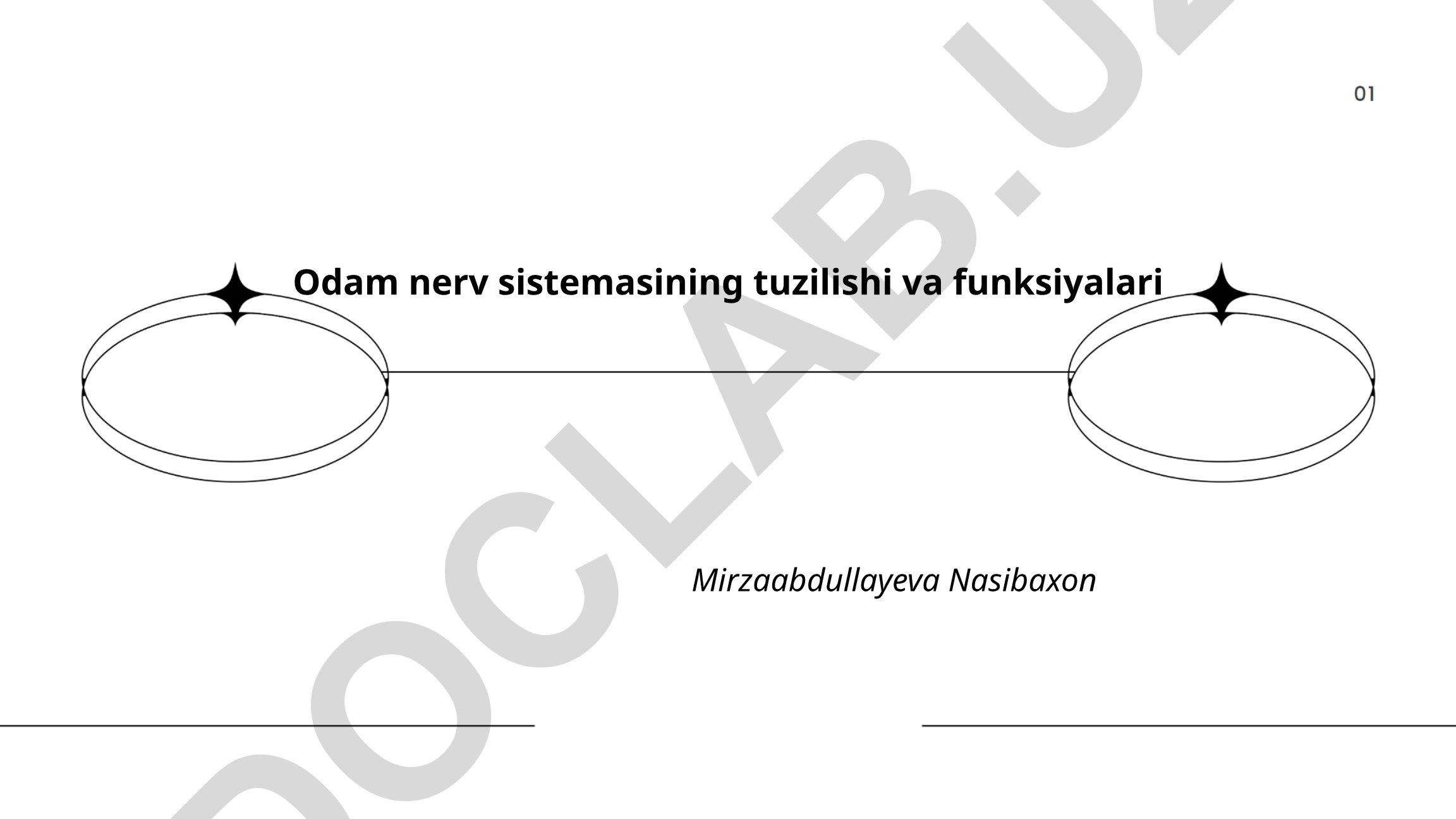 Odam nerv sistemasining tuzilishi va funksiyalari