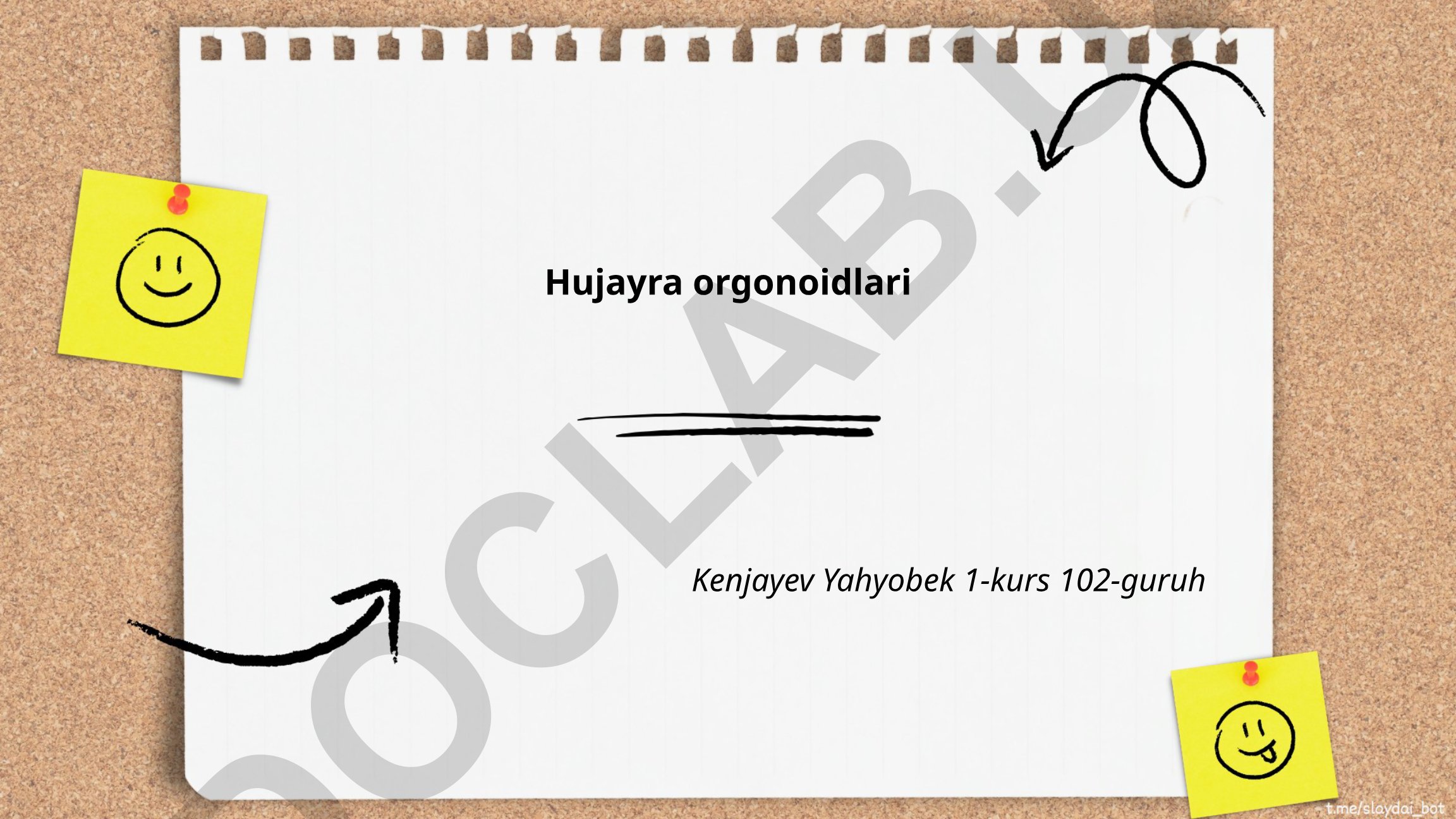 Hujayra organoidlari: tarixi, ishlab chiqarish usullari va tuzilishi
