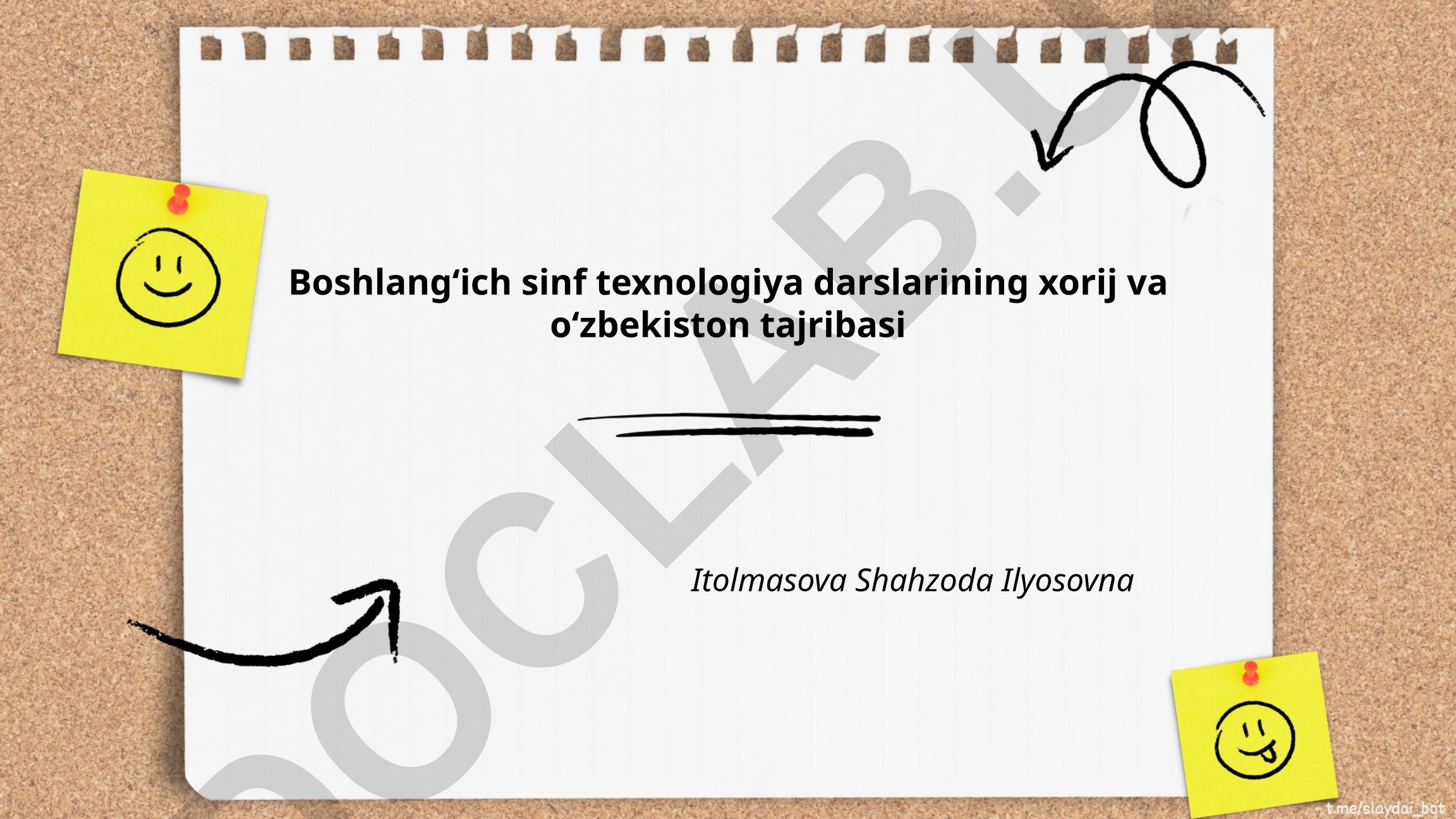 Boshlangʻich sinf texnologiya darslarining xorij va Oʻzbekiston tajribasi