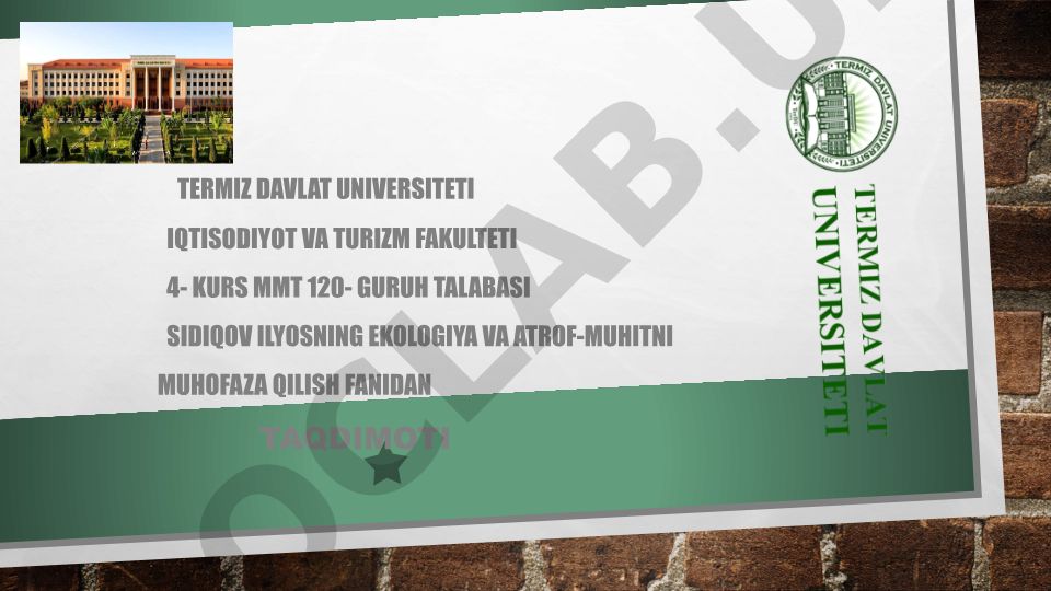 Sho’rlanish, Cho’llanish muammolari va atrof-muhit muhofazasi