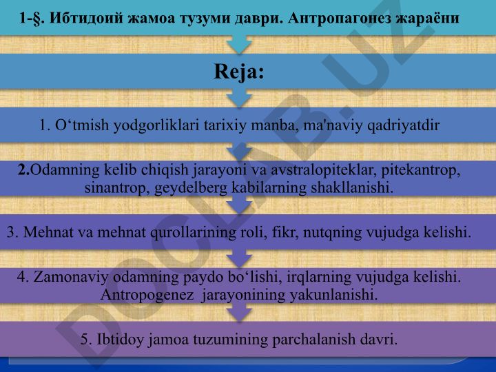 Ibtidoiy jamoa tuzumi davri va antropogenez jarayoni