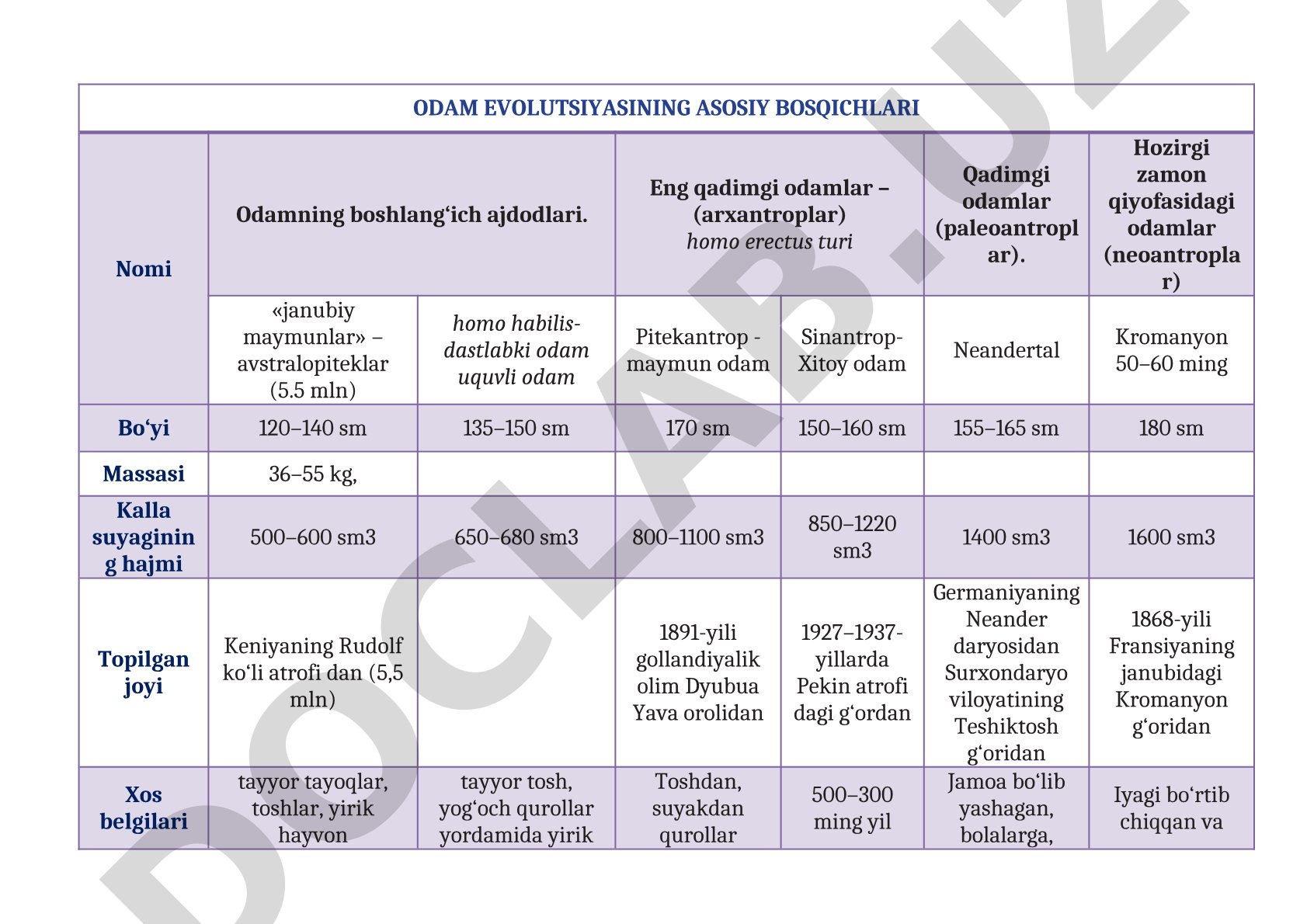 Odam evolyutsiyasining asosiy bosqichlari
