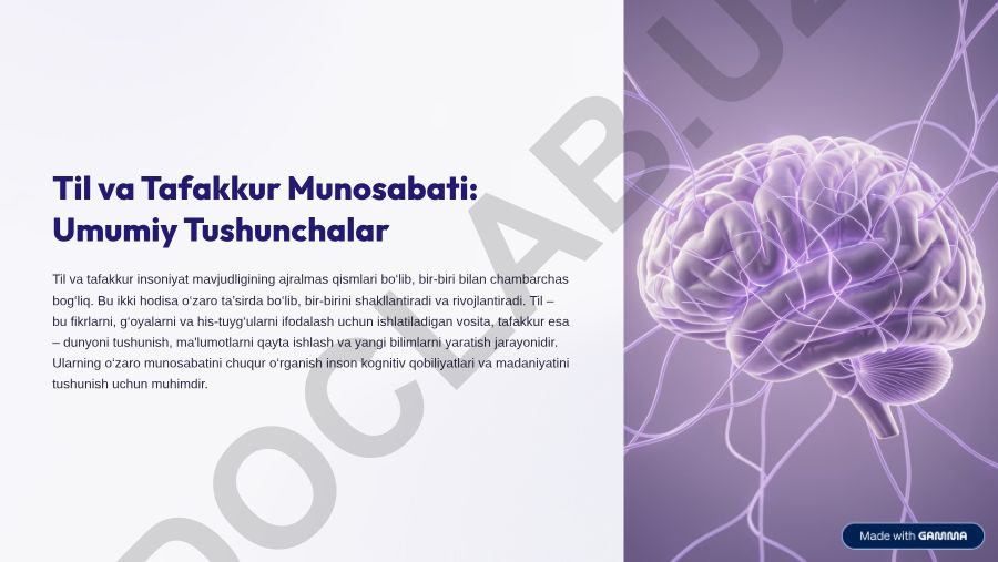 Til va tafakkur munosabati: umumiy tushunchalar va roli