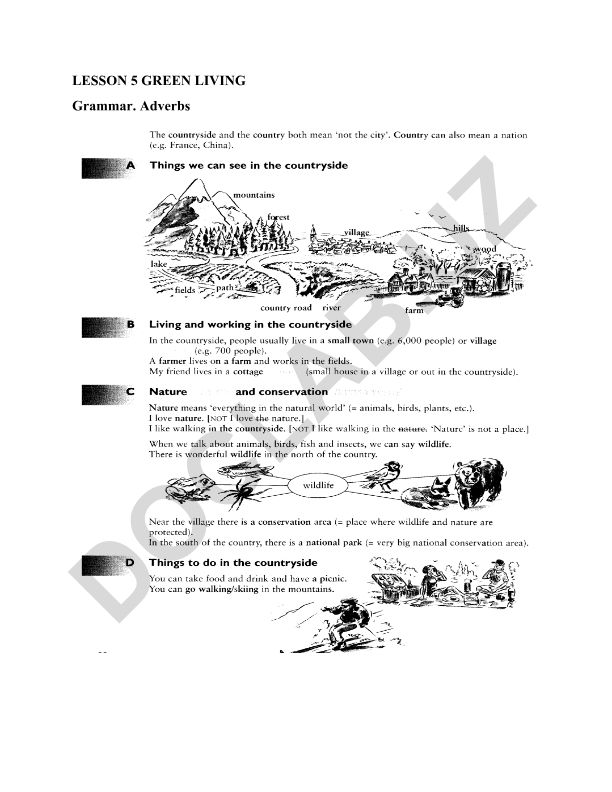 Green Living Grammar: Adverbs Exercises