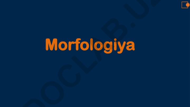 O'zbek tilida so'z turkumlari va morfologiya