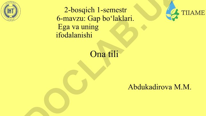 Gap bo‘laklari. Ega va uning ifodalanishi