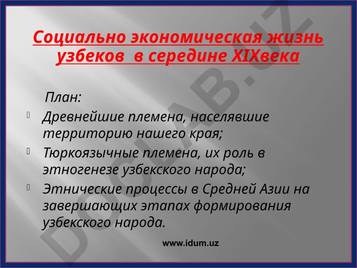 Социально экономическая жизнь узбеков в середине XIX века