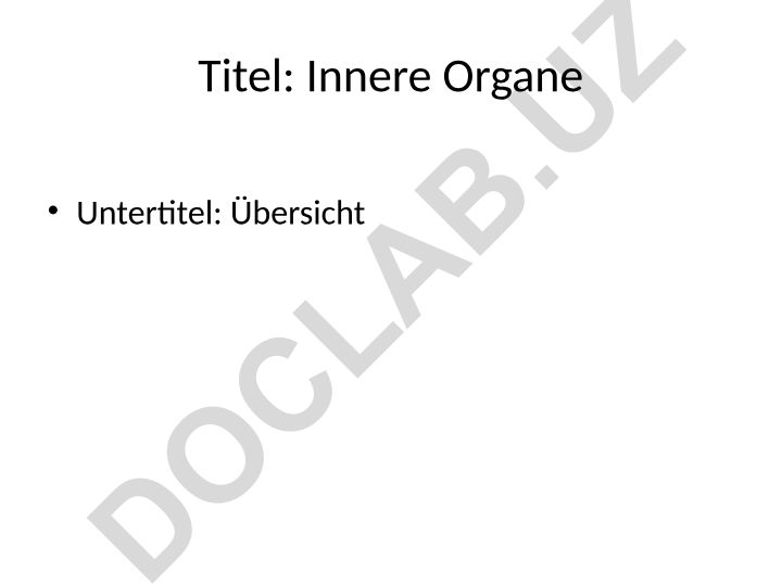 Innere Organe: Übersicht und Funktionen
