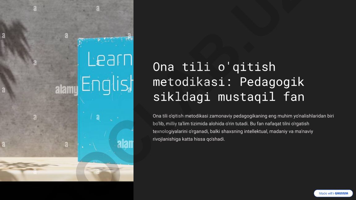 Ona tili o'qitish metodikasi: Pedagogik sikldagi mustaqil fan