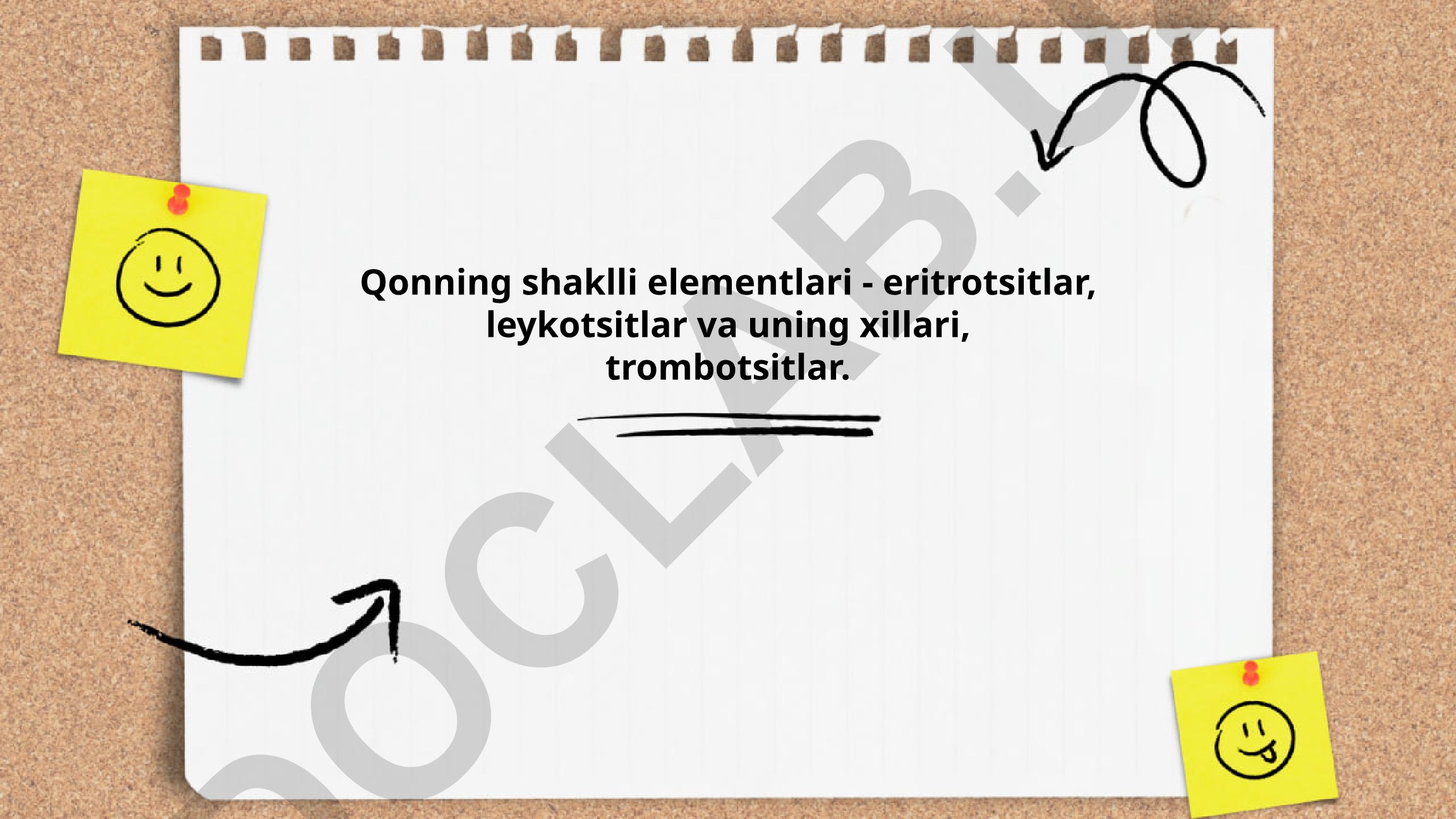 Qonning shaklli elementlari: eritrotsitlar, leykotsitlar va trombotsitlar