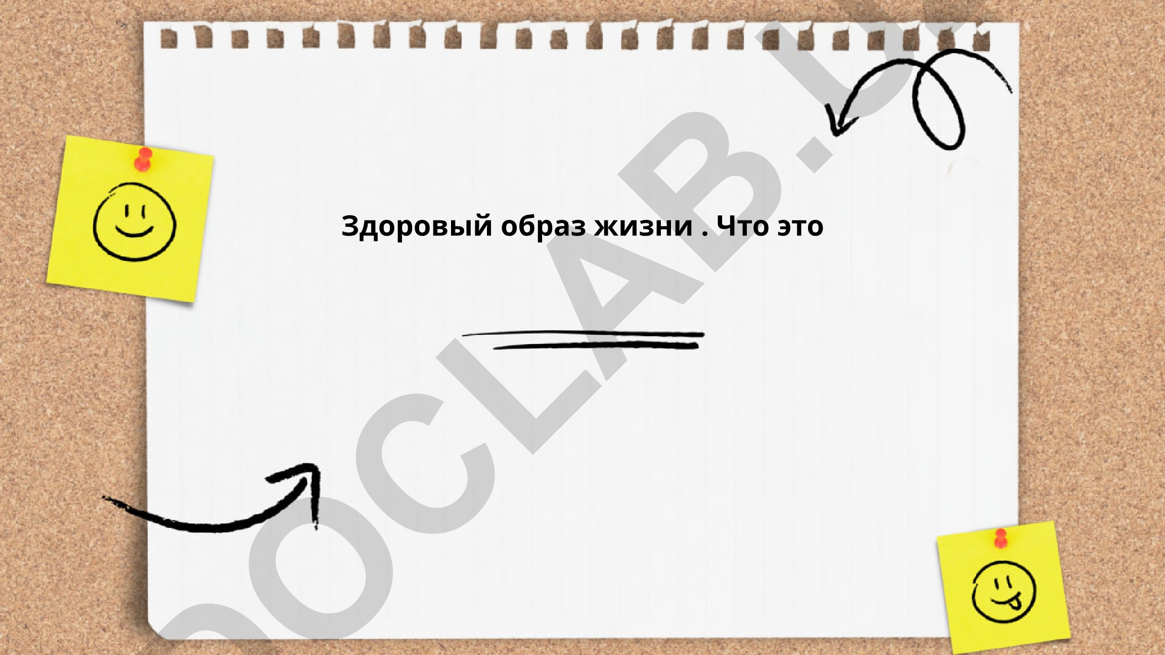 Здоровый образ жизни: правильное питание, физическая активность и режим сна