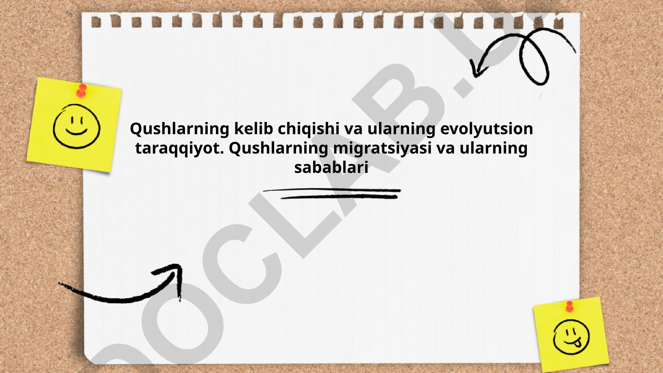 Qushlarning kelib chiqishi, evolyutsion taraqqiyoti va migratsiyasi