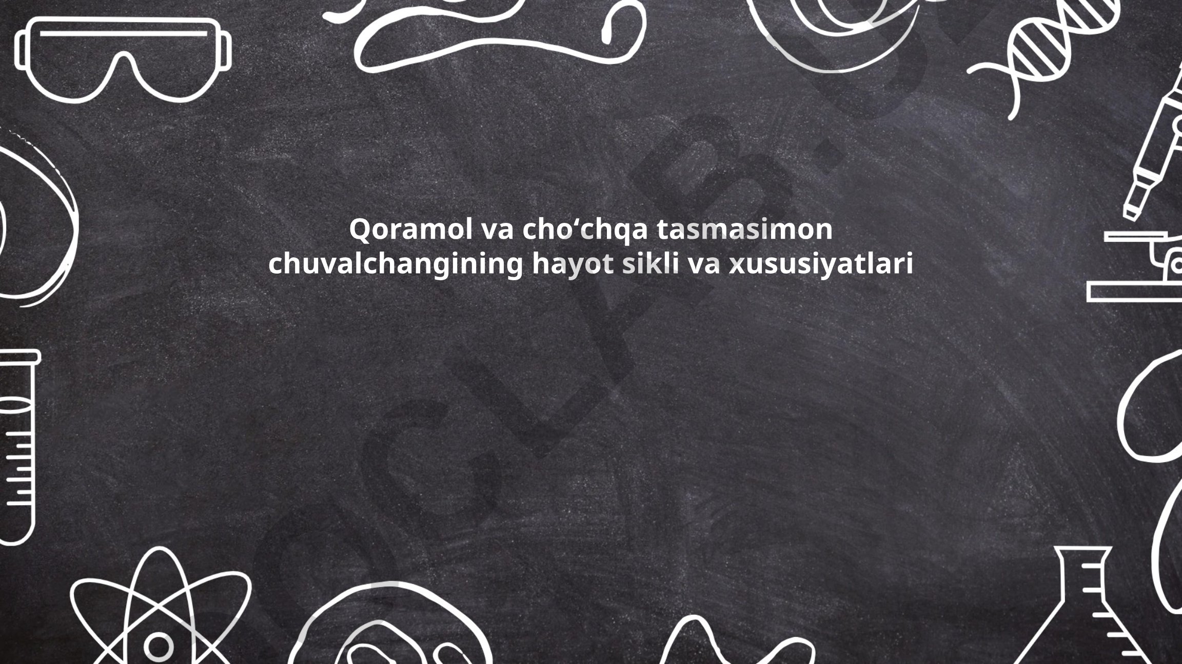 Qoramol va choʻchqa tasmasimon chuvalchangining hayot sikli va xususiyatlari