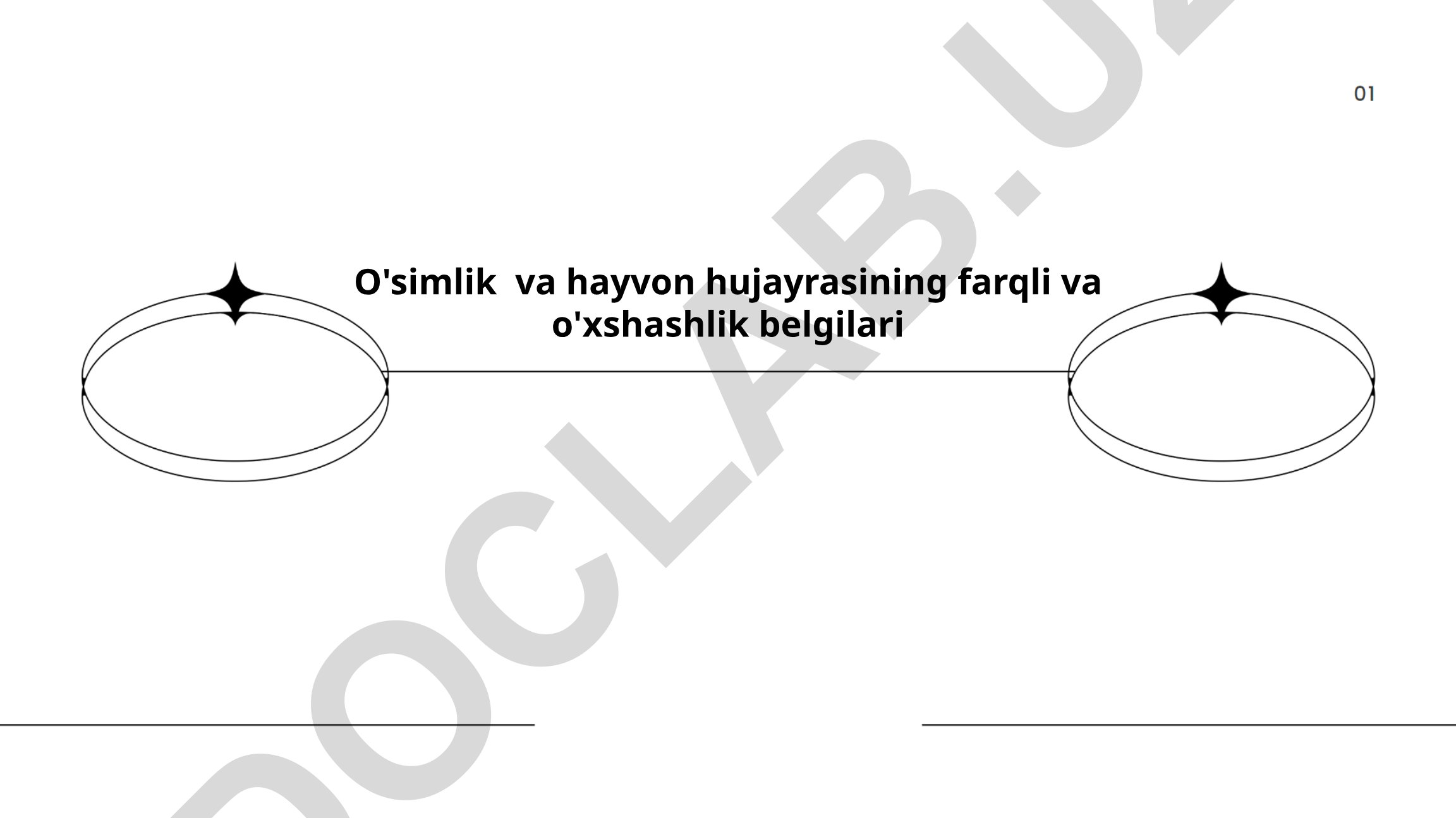 O'simlik va hayvon hujayrasining farqli va o'xshashlik belgilari