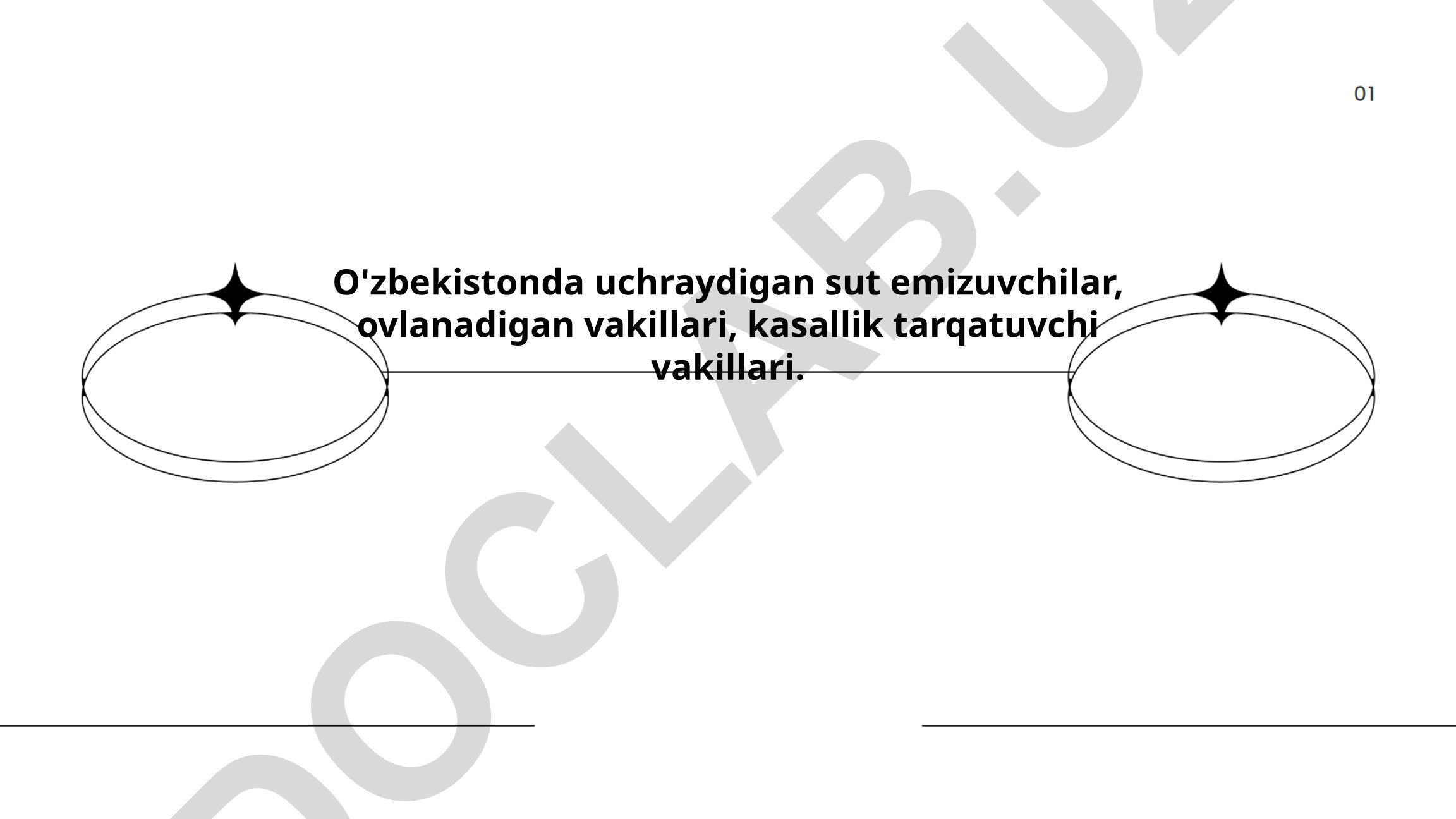 O'zbekistonda uchraydigan sut emizuvchilar va ularning vakillari