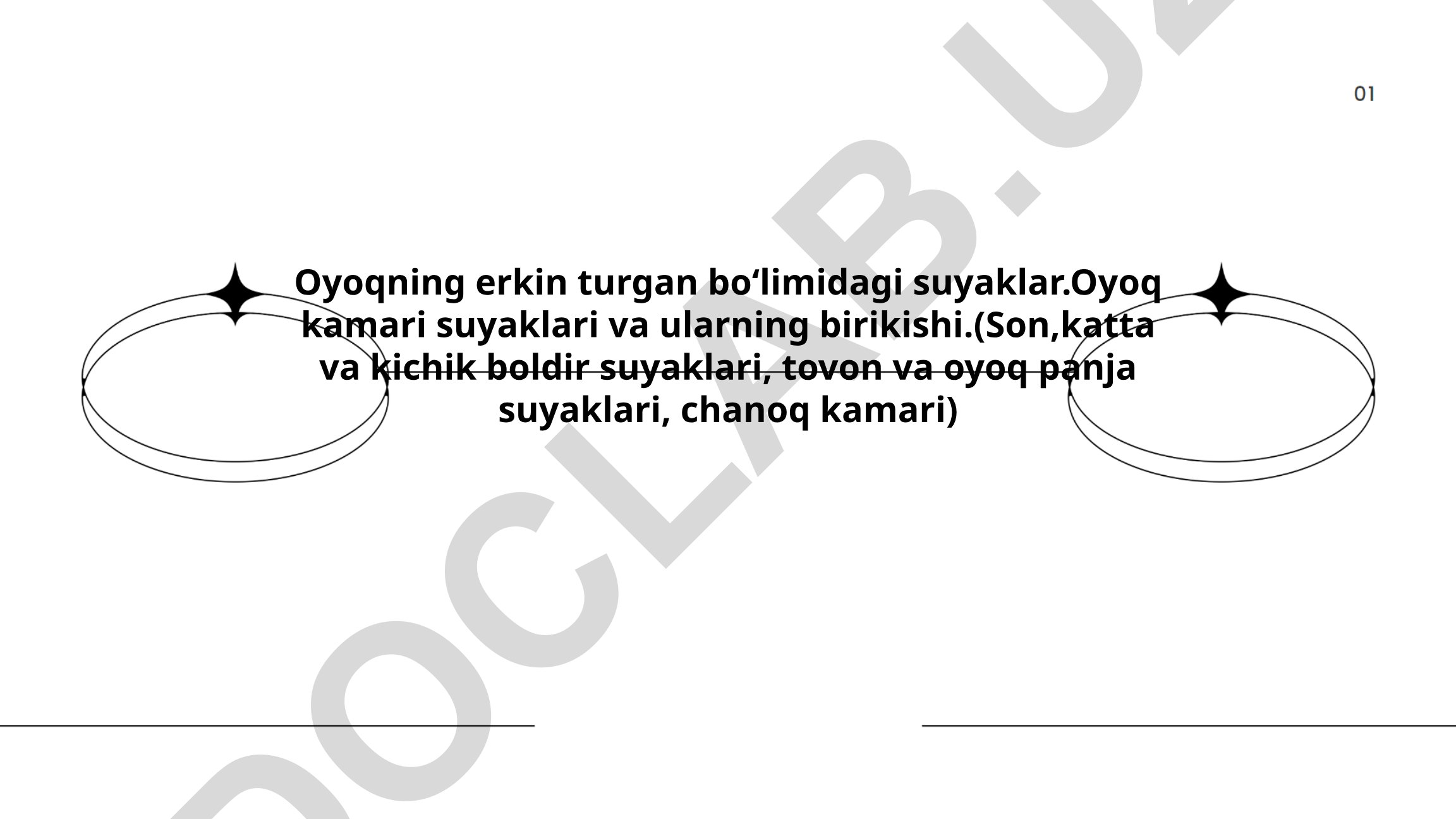 Oyoq kamari suyaklarining tuzilishi va funksiyalari