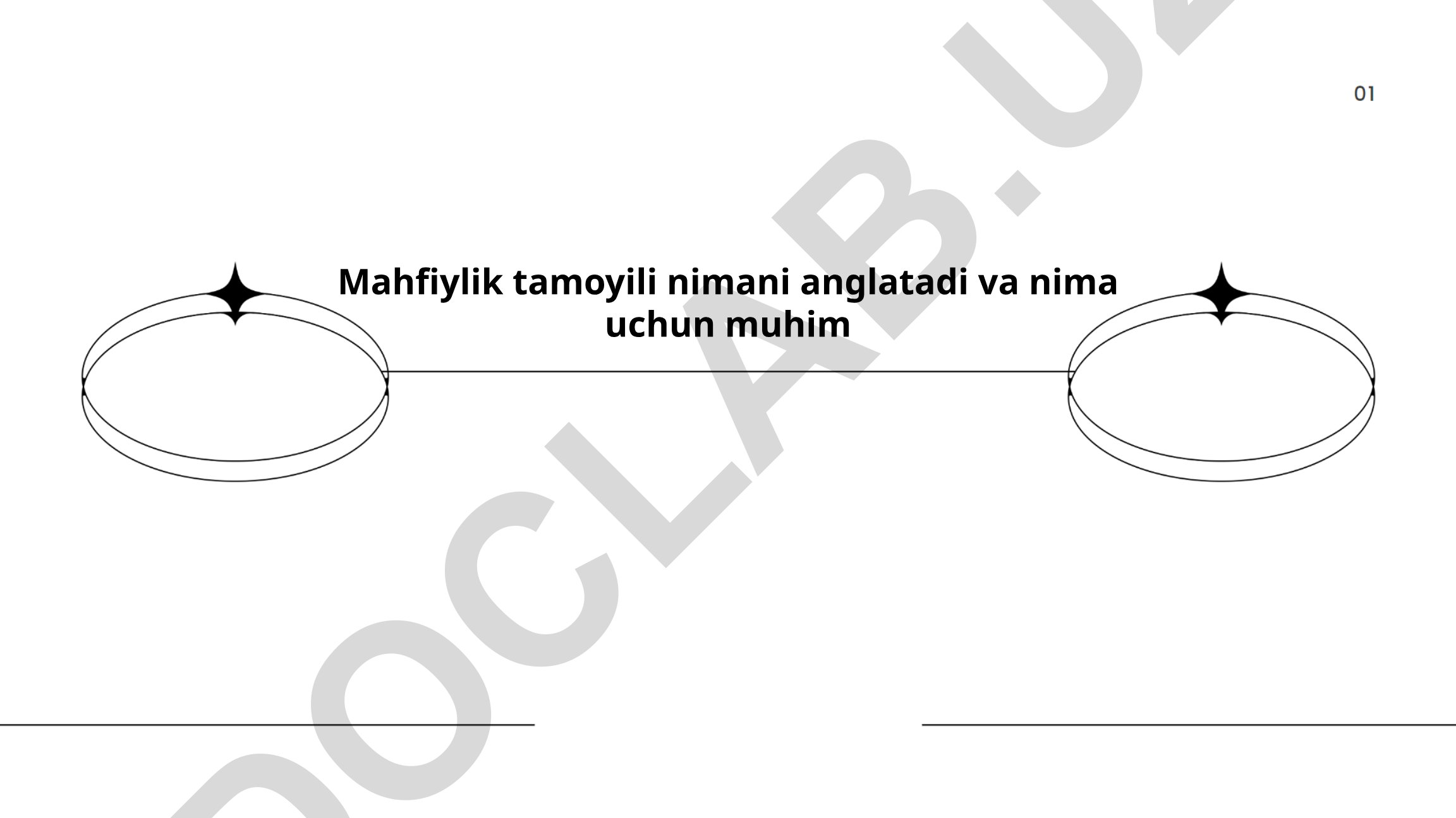 Mahfiylik tamoyili: taʼrifi, tarixiy rivojlanishi va huquqiy asoslari