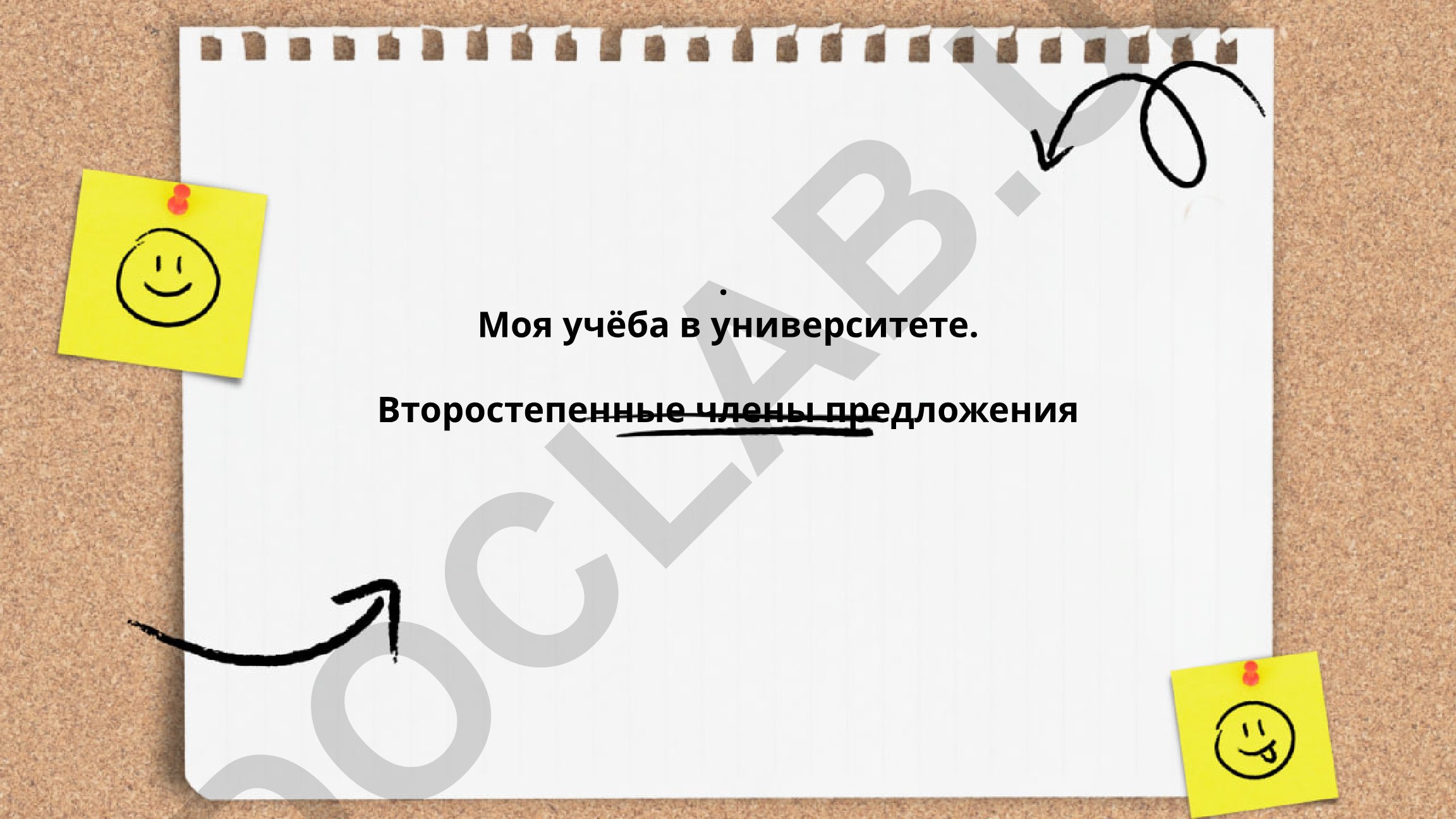 Второстепенные члены предложения в описании университетской учёбы