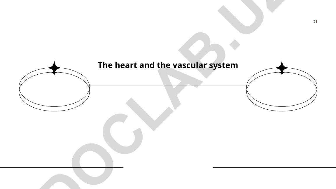 The heart and the vascular system