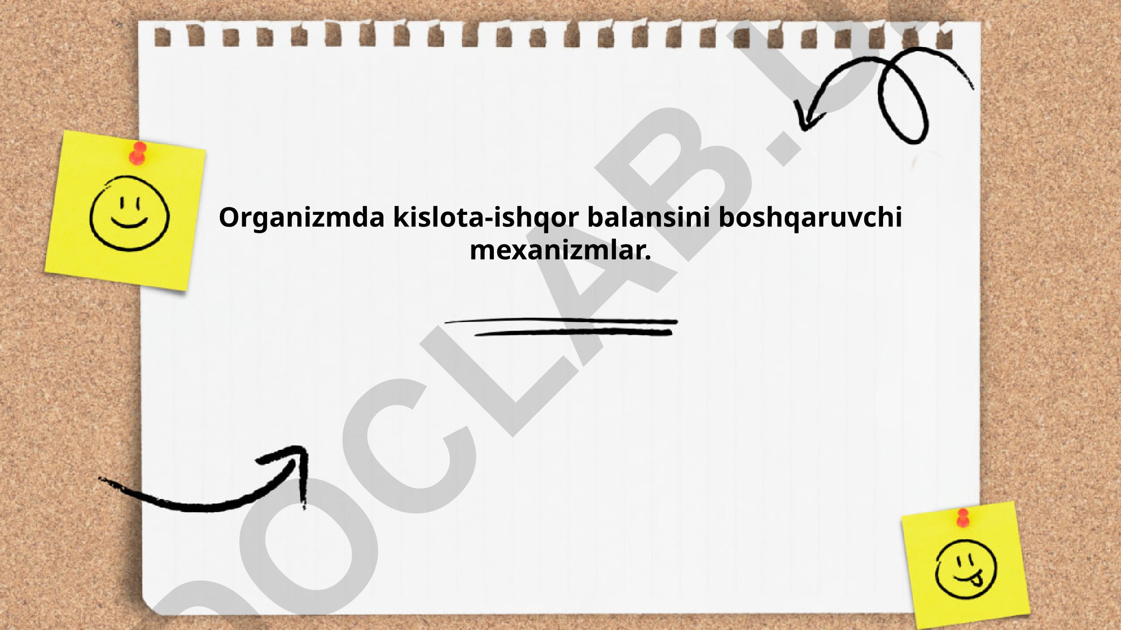 Organizmda kislota-ishqor balansini boshqaruvchi mexanizmlar