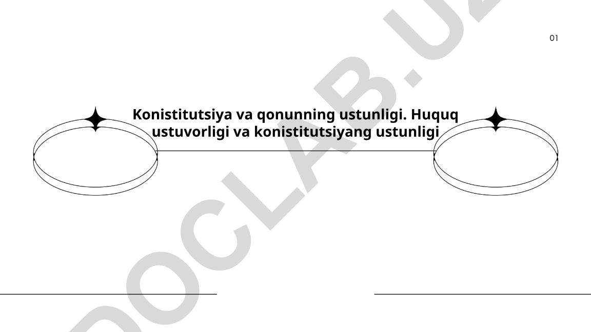 Konstitutsiya va qonunning ustunligi tamoyillari