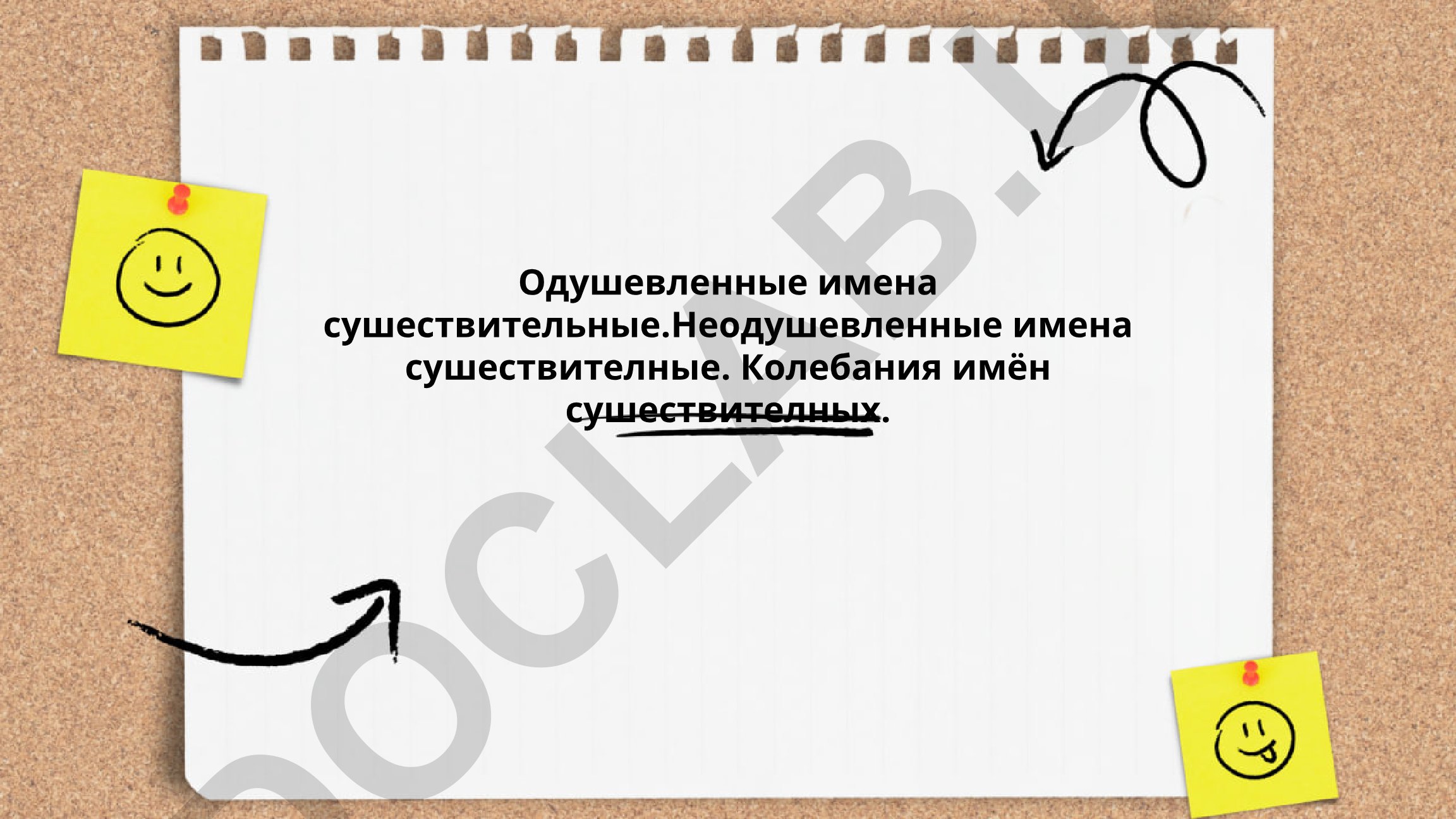 Одушевлённые и неодушевлённые имена существительные в русском языке