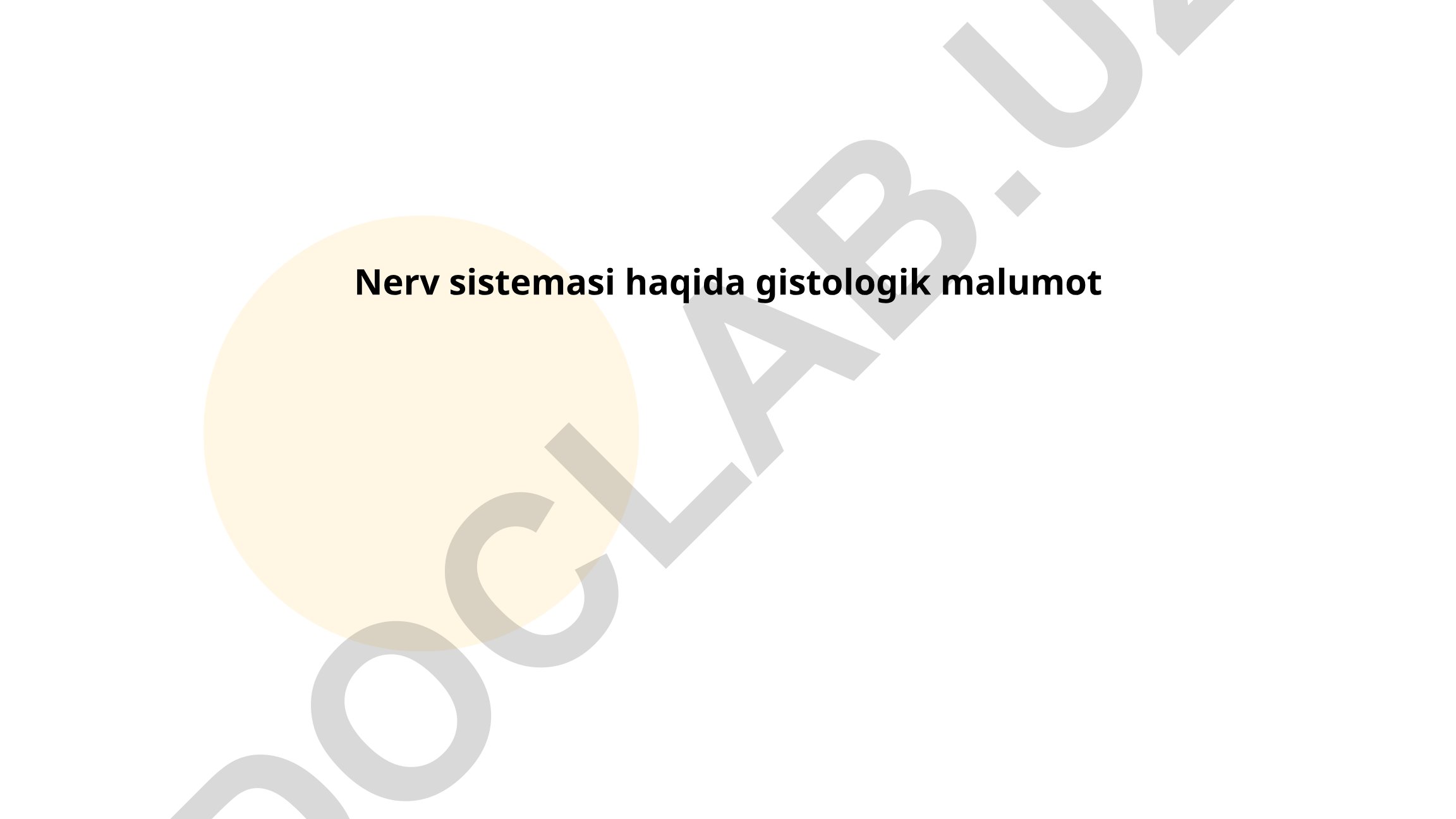 Nerv sistemasi gistologiyasi