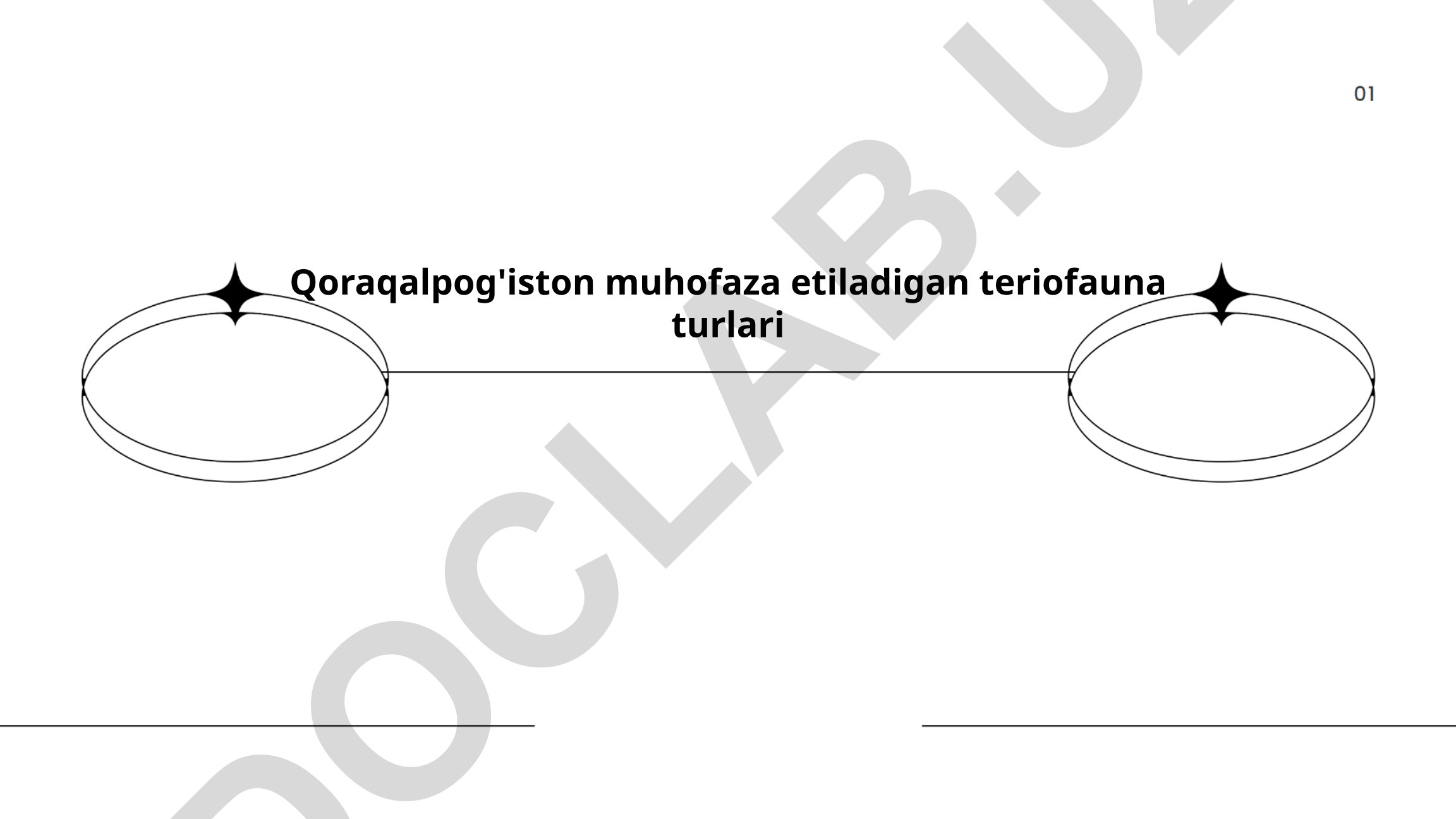 Qoraqalpog'iston muhofaza etiladigan teriofauna turlari