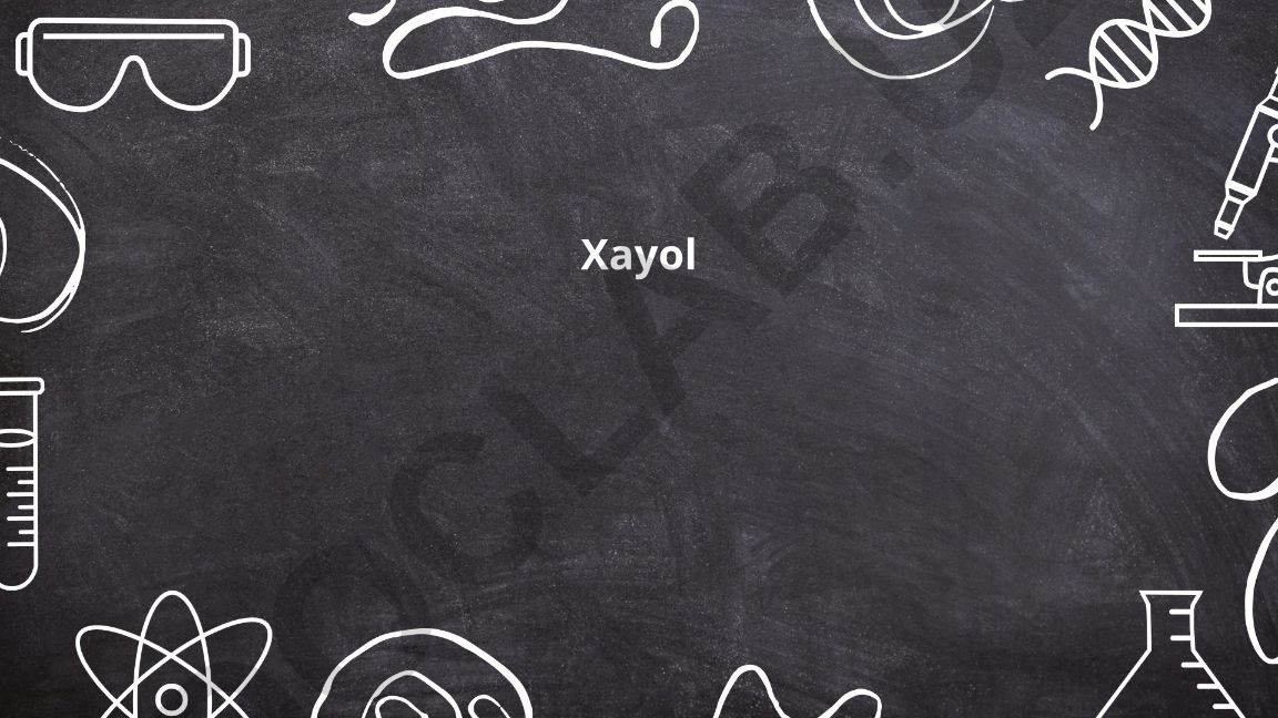 Xayol va ijtimoiy muhit o'rtasidagi bog'liqlik