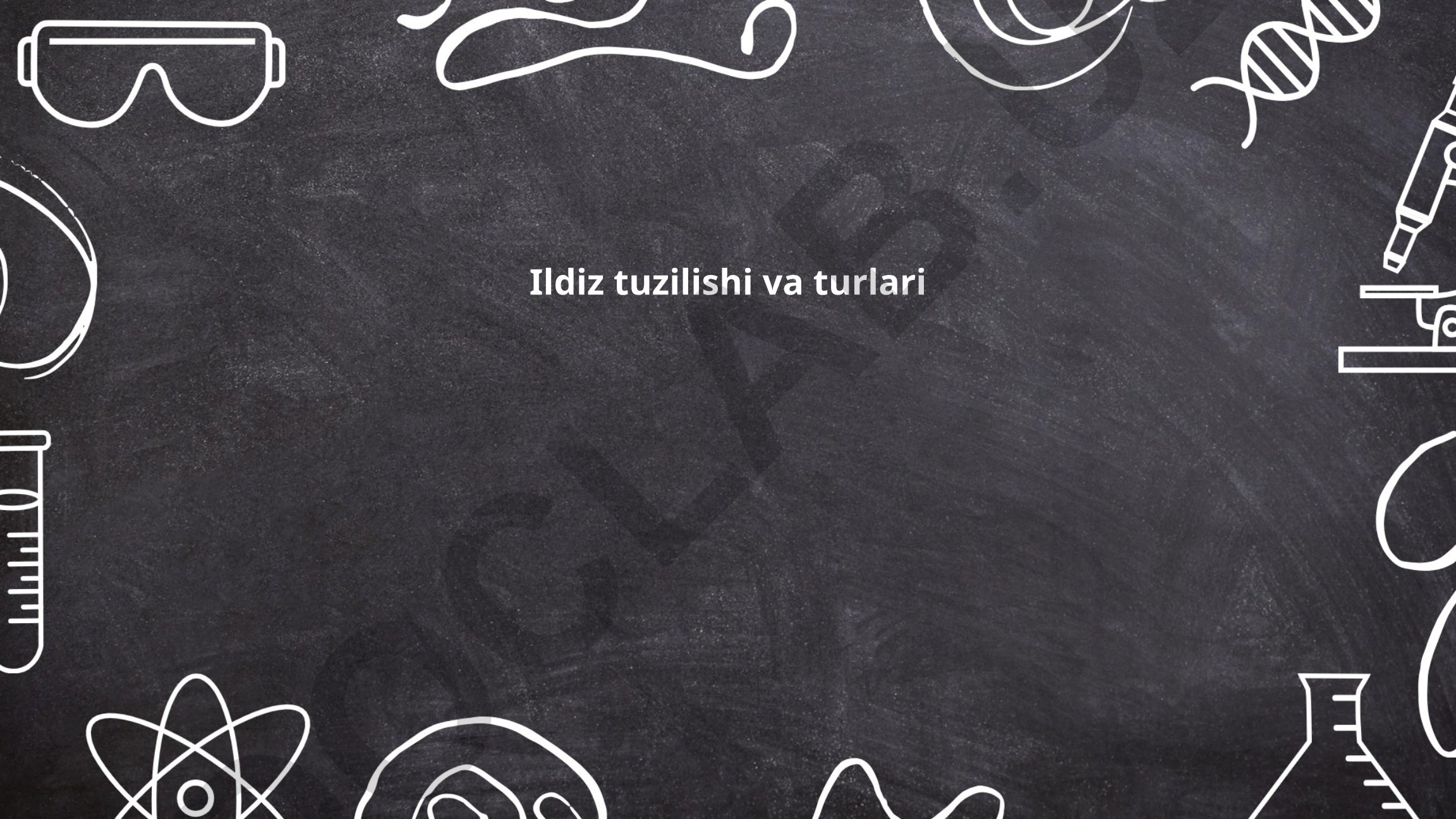 Ildiz tuzilishi va turlari
