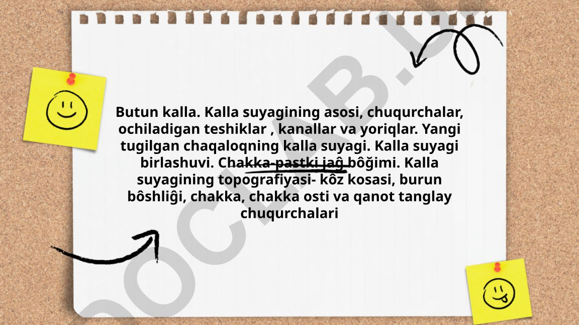 Kalla suyagining anatomik tuzilishi va topografiyasi