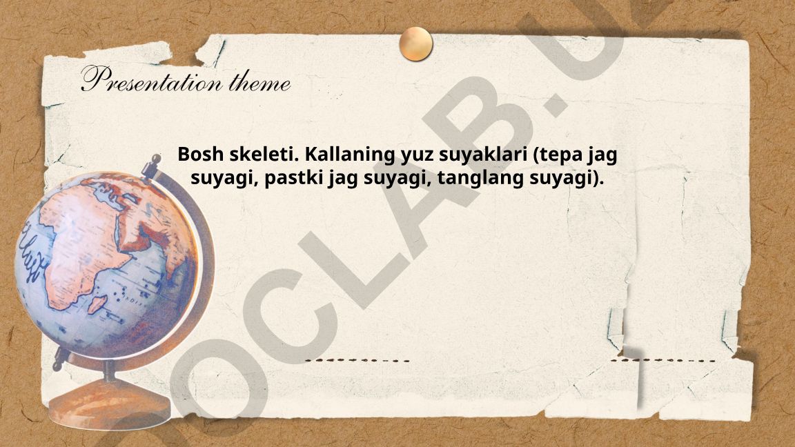 Bosh skeleti va yuz suyaklari