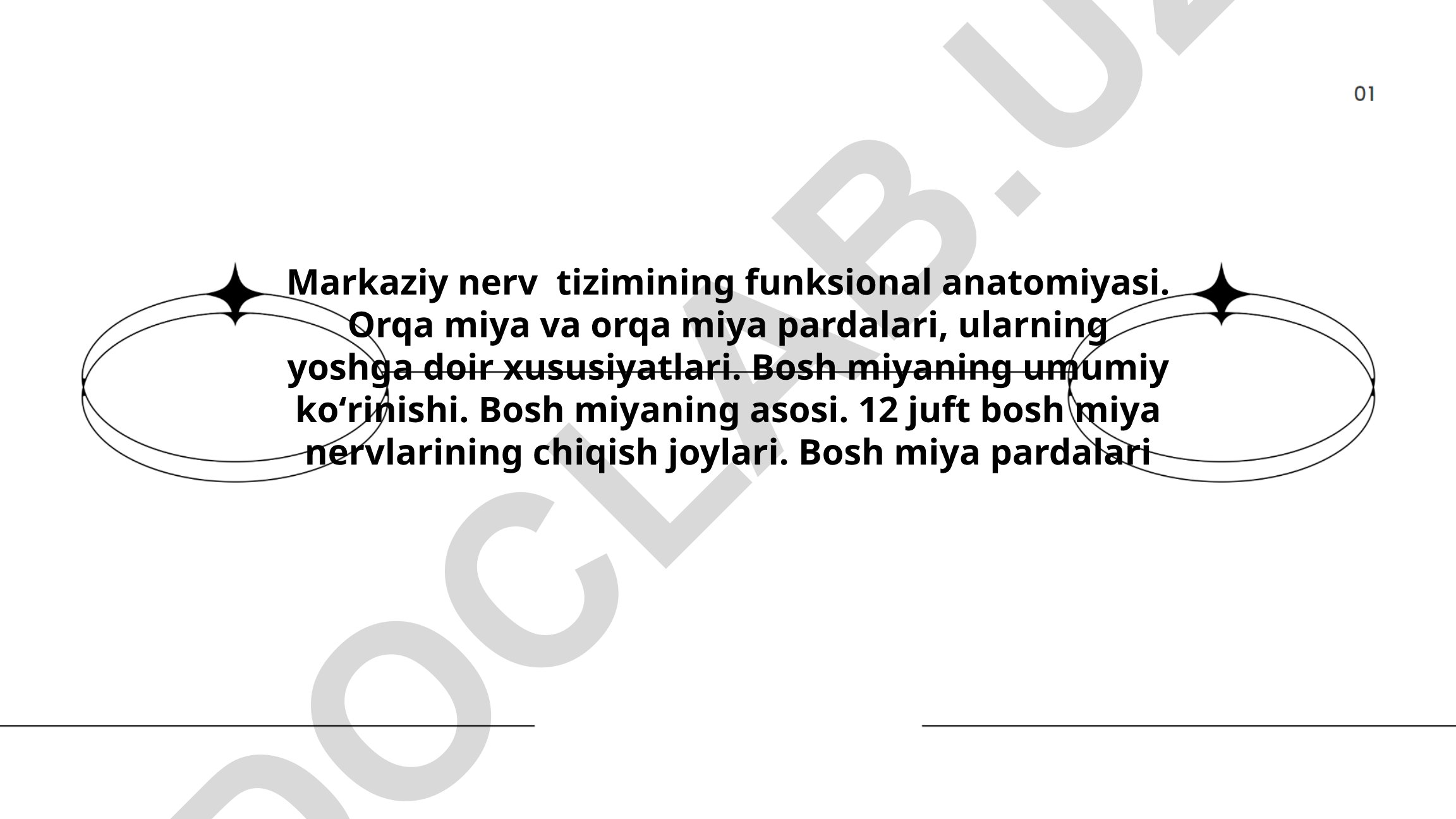 Markaziy nerv tizimining funksional anatomiyasi