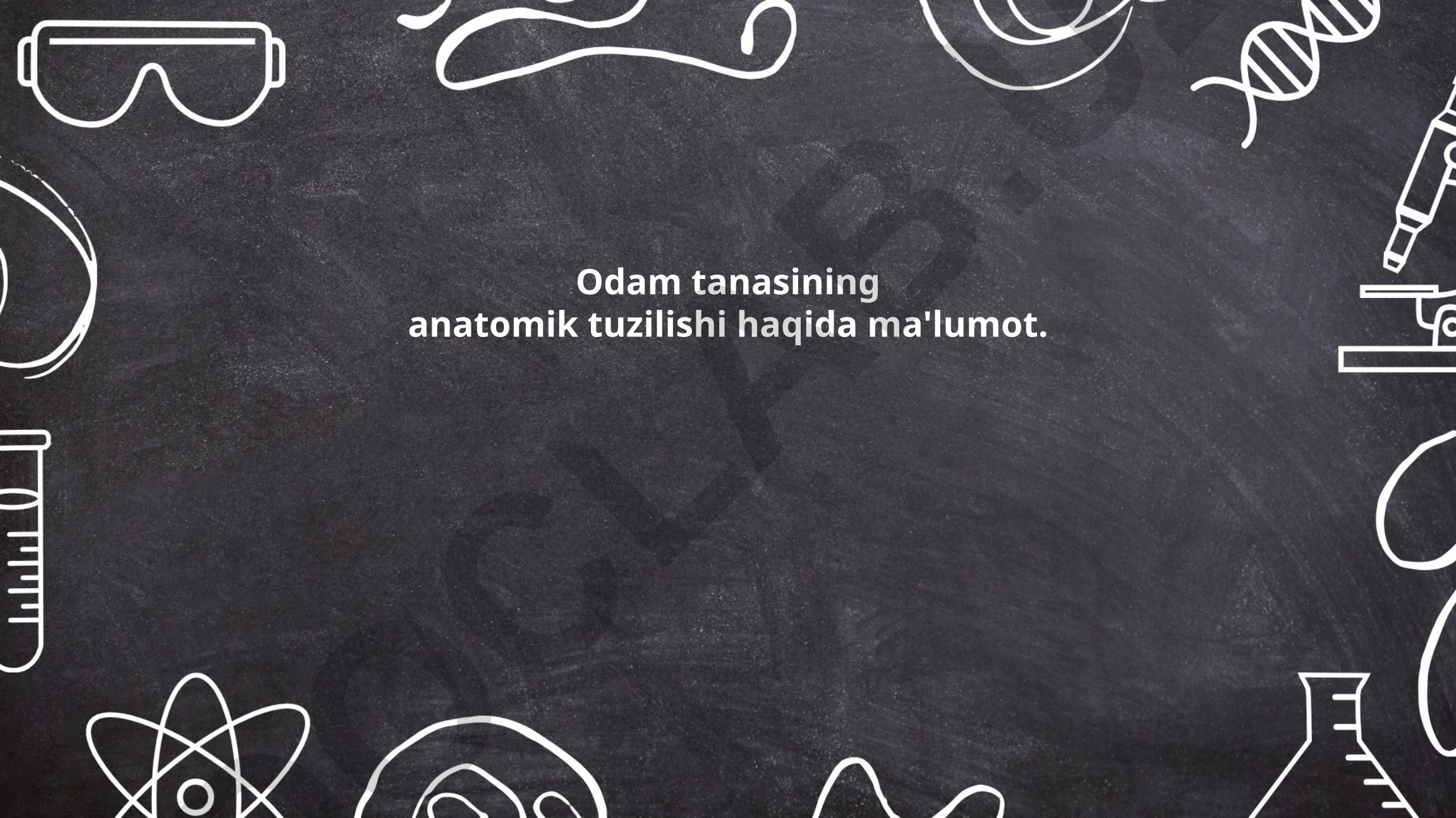 Odam tanasining anatomik tuzilishi