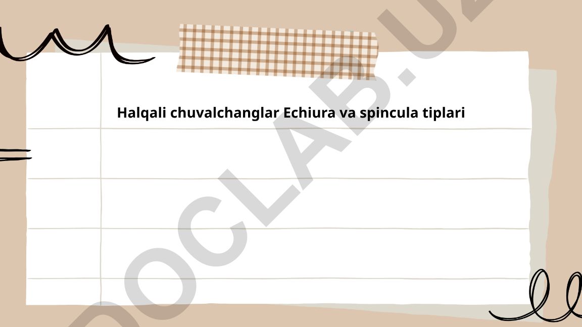Halqali chuvalchanglar Echiura va spincula tiplari