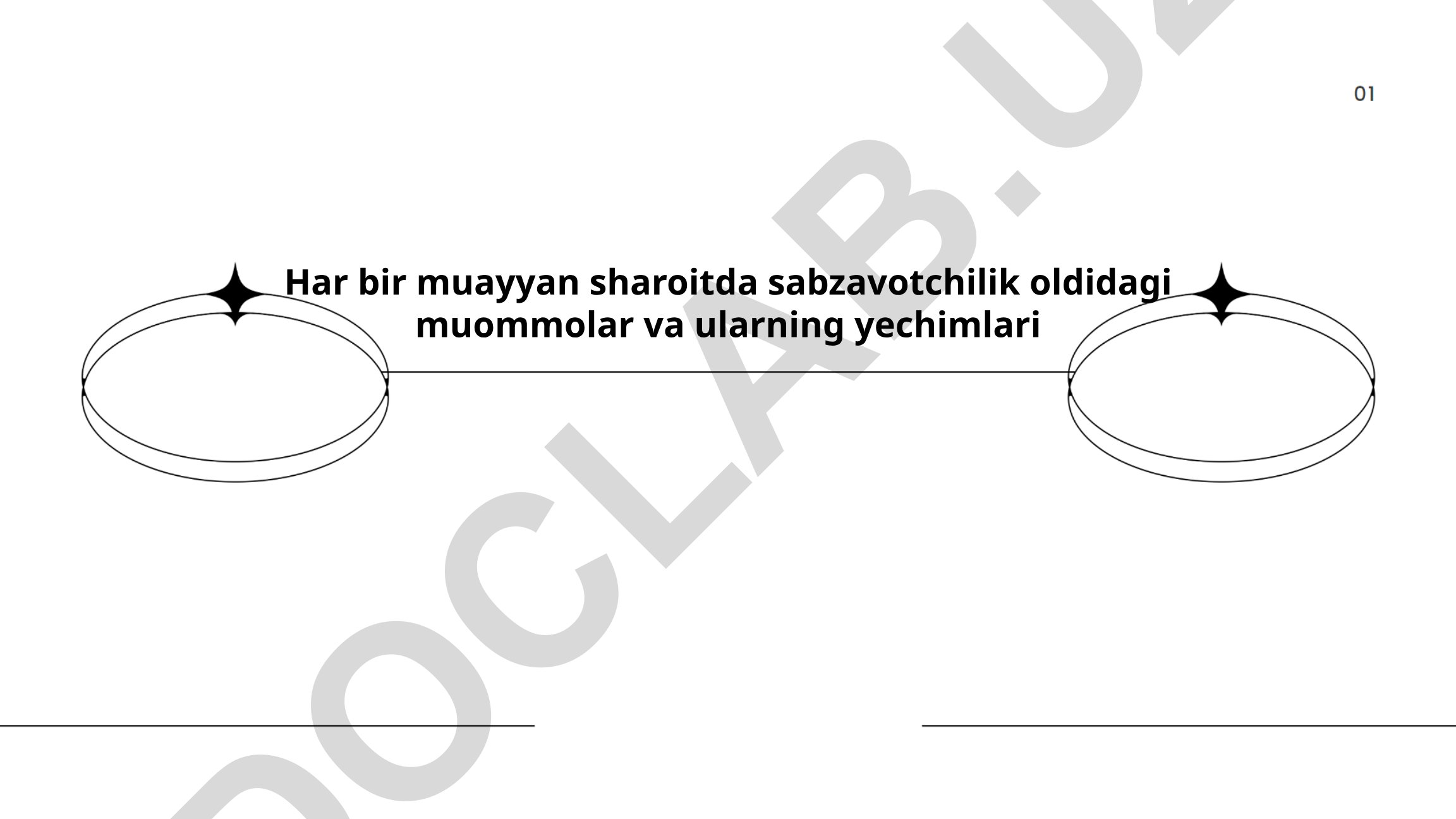 Har bir muayyan sharoitda sabzavotchilik oldidagi muommolar va ularning yechimlari