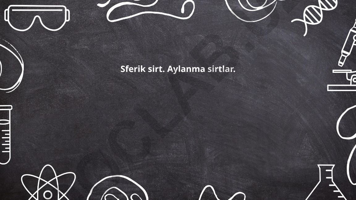 Sferik sirtda geometriya va aylanma sirtlar