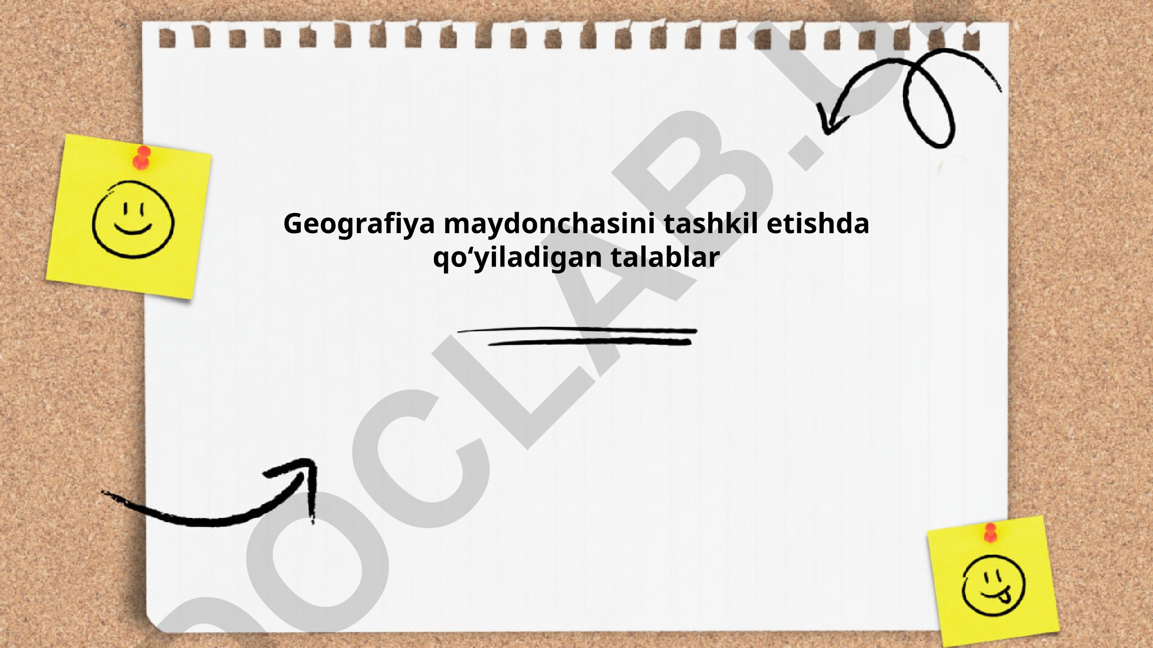 Geografiya maydonchasini tashkil etishda qo'yiladigan talablar