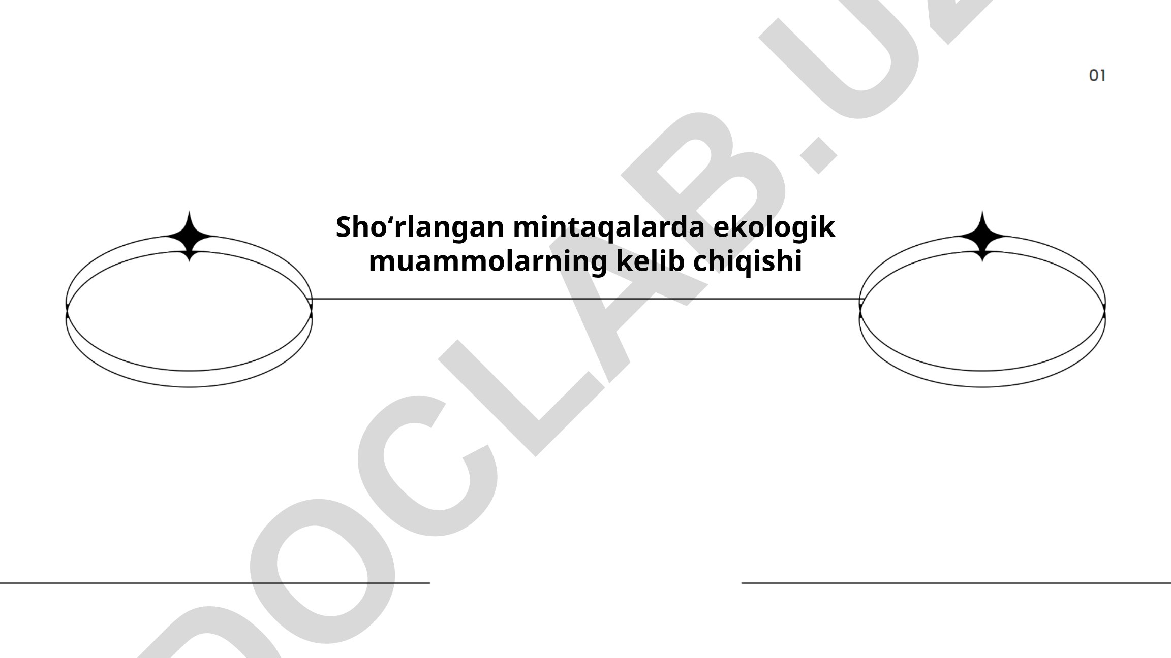 Shoʻrlangan mintaqalarda ekologik muammolarning kelib chiqishi