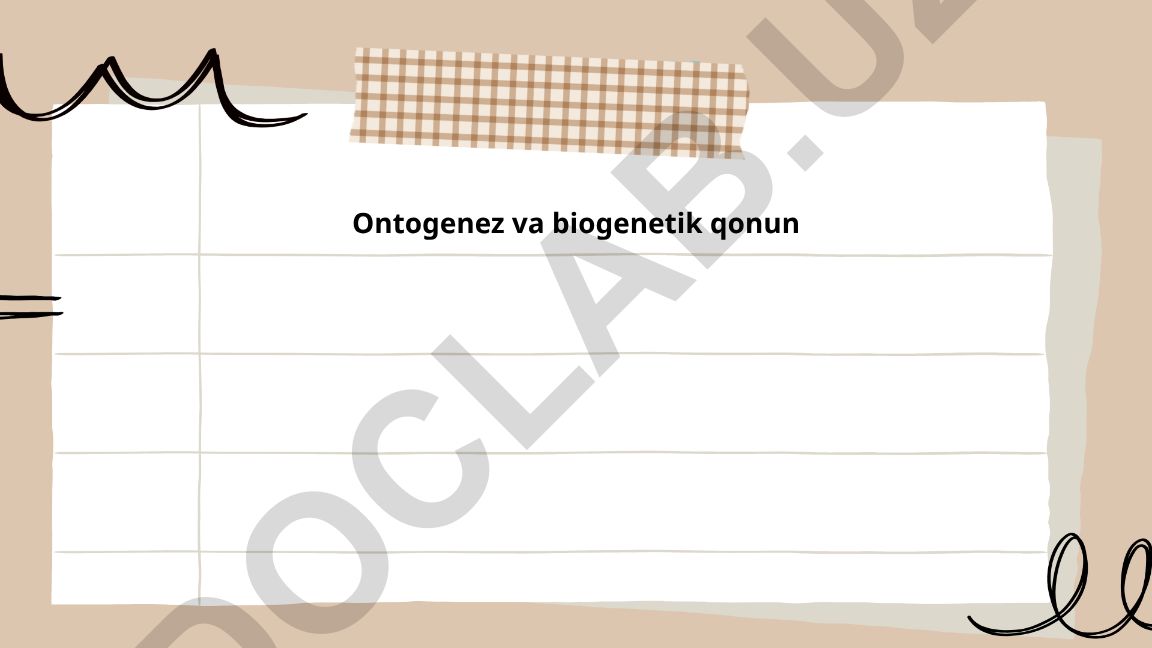 Ontogenez va biogenetik qonun