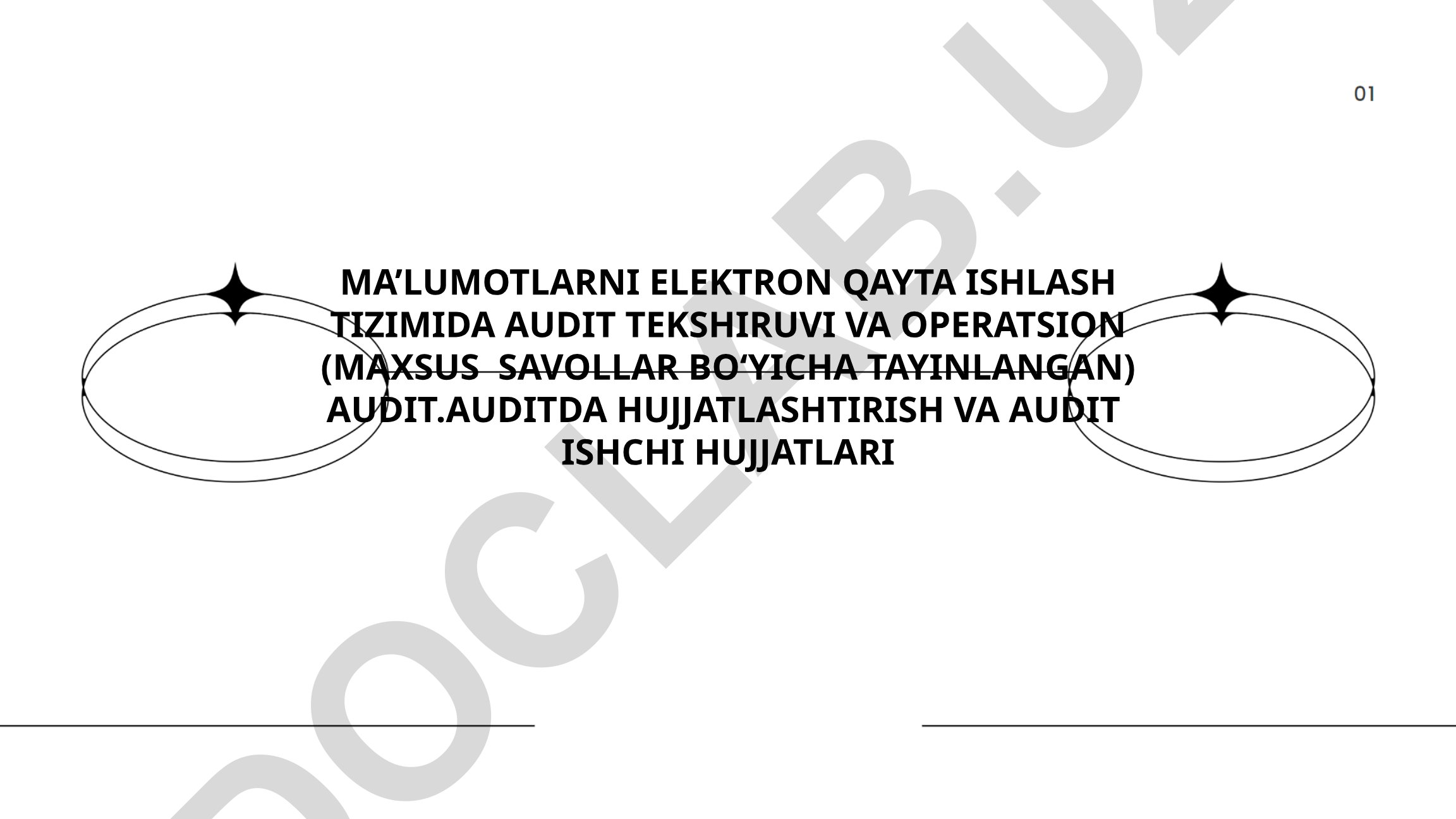 Elektron qayta ishlash tizimlarida audit tekshiruvi va hujjatlashtirish