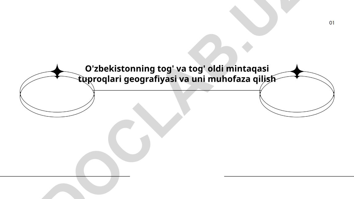 O'zbekistonning tog' va tog' oldi mintaqasi tuproqlari geografiyasi va uni muhofaza qilish