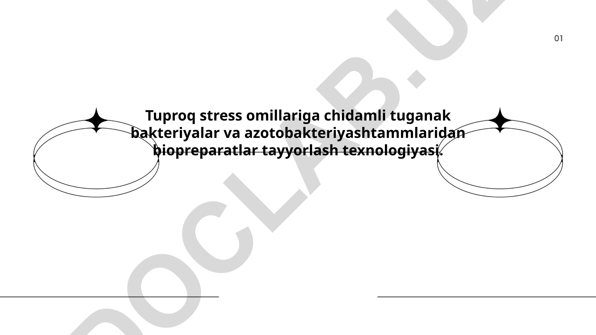 Tuproq stress omillariga chidamli tuganak bakteriyalar va azotobakteriyalardan biopreparatlar tayyorlash texnologiyasi