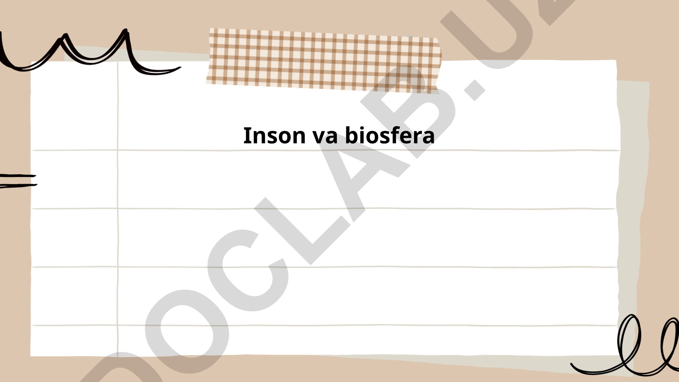 Inson va biosfera o'rtasidagi munosabatlar va ekologik muammolar