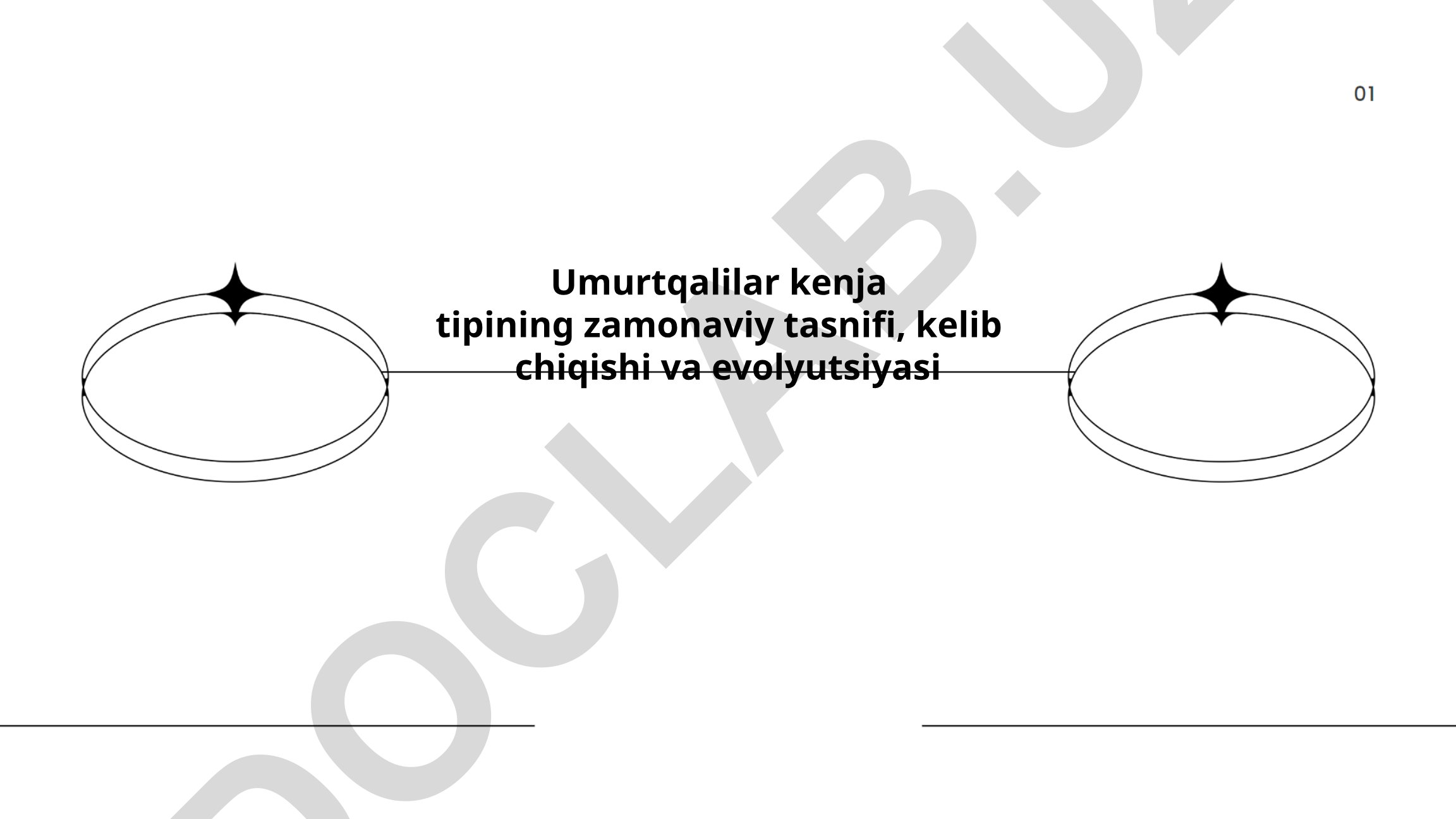 Umurtqalilar kenja tipining zamonaviy tasnifi, kelib chiqishi va evolyutsiyasi